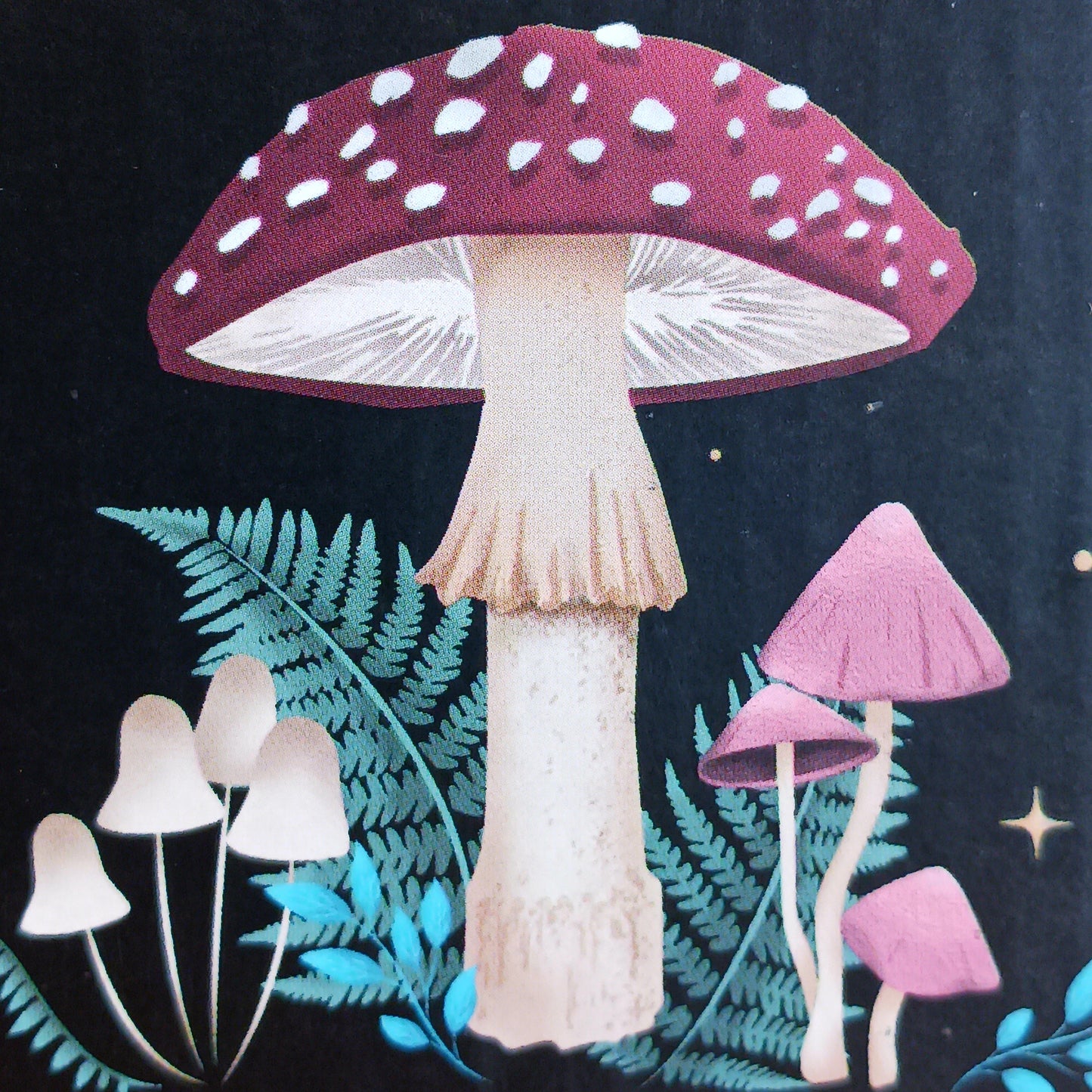 Transform your space into a magical woodland retreat with this beautifully designed dark forest oil burner. Featuring a rich black finish adorned with vibrant illustrations of flora and fauna, this enchanting piece comes to life when lit, casting a warm, ambient glow reminiscent of moonlit nights beneath the stars.