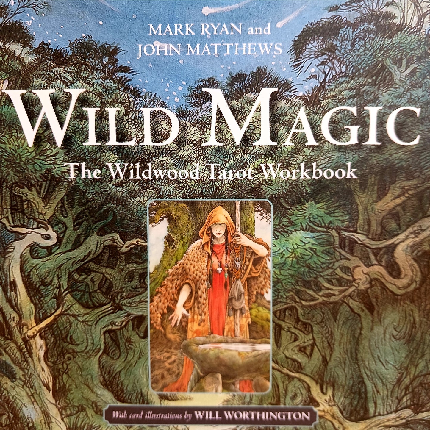 Wild Magic | The Wildwood Tarot Workbook