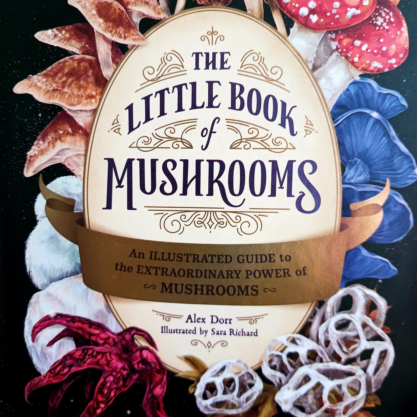 The Little Book of Mushrooms