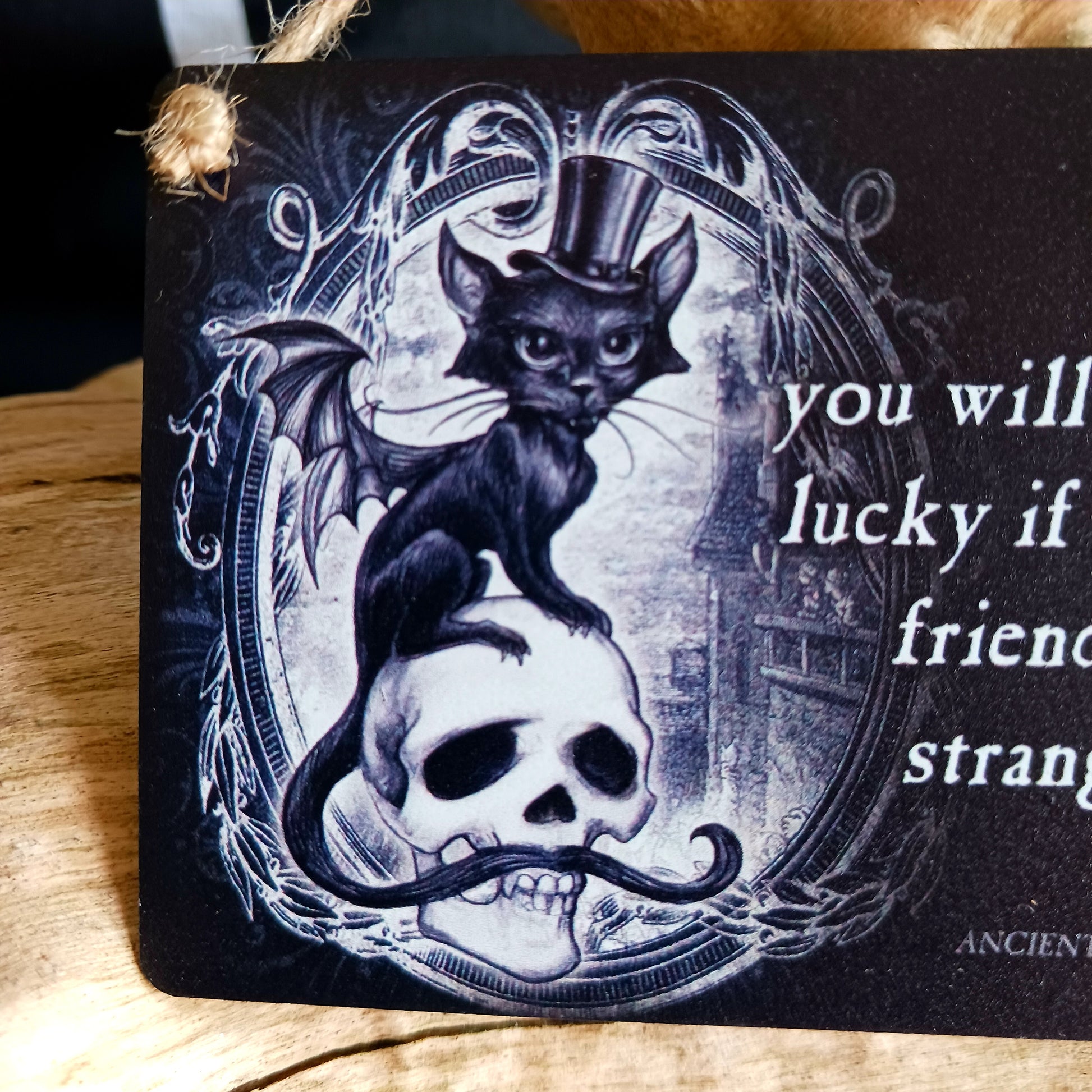 ...Strange Cats.. Steel Hanging Plaque