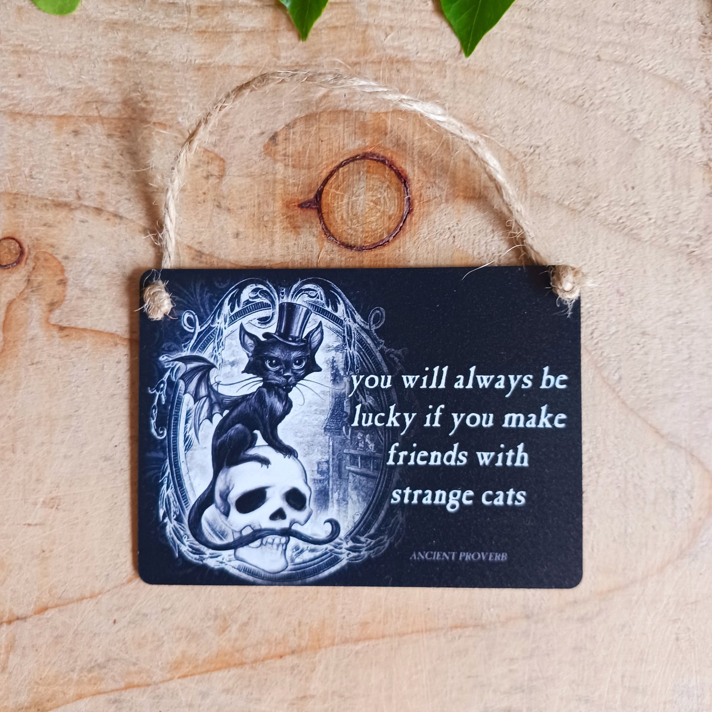 ...Strange Cats.. Steel Hanging Plaque