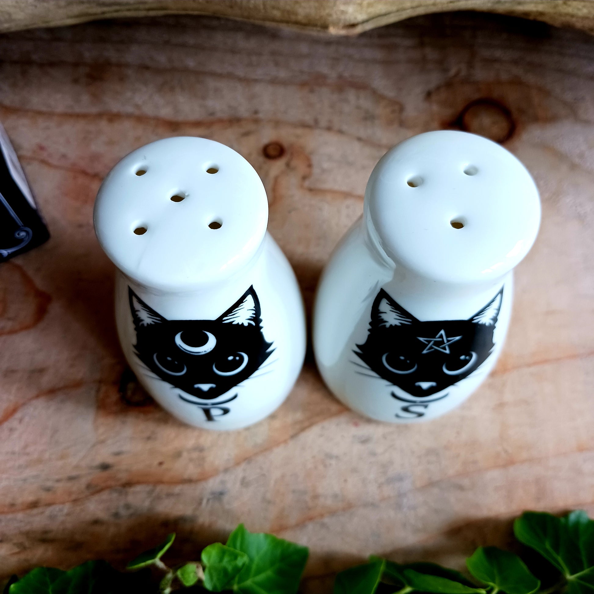 Black Cats | Salt & Pepper Set