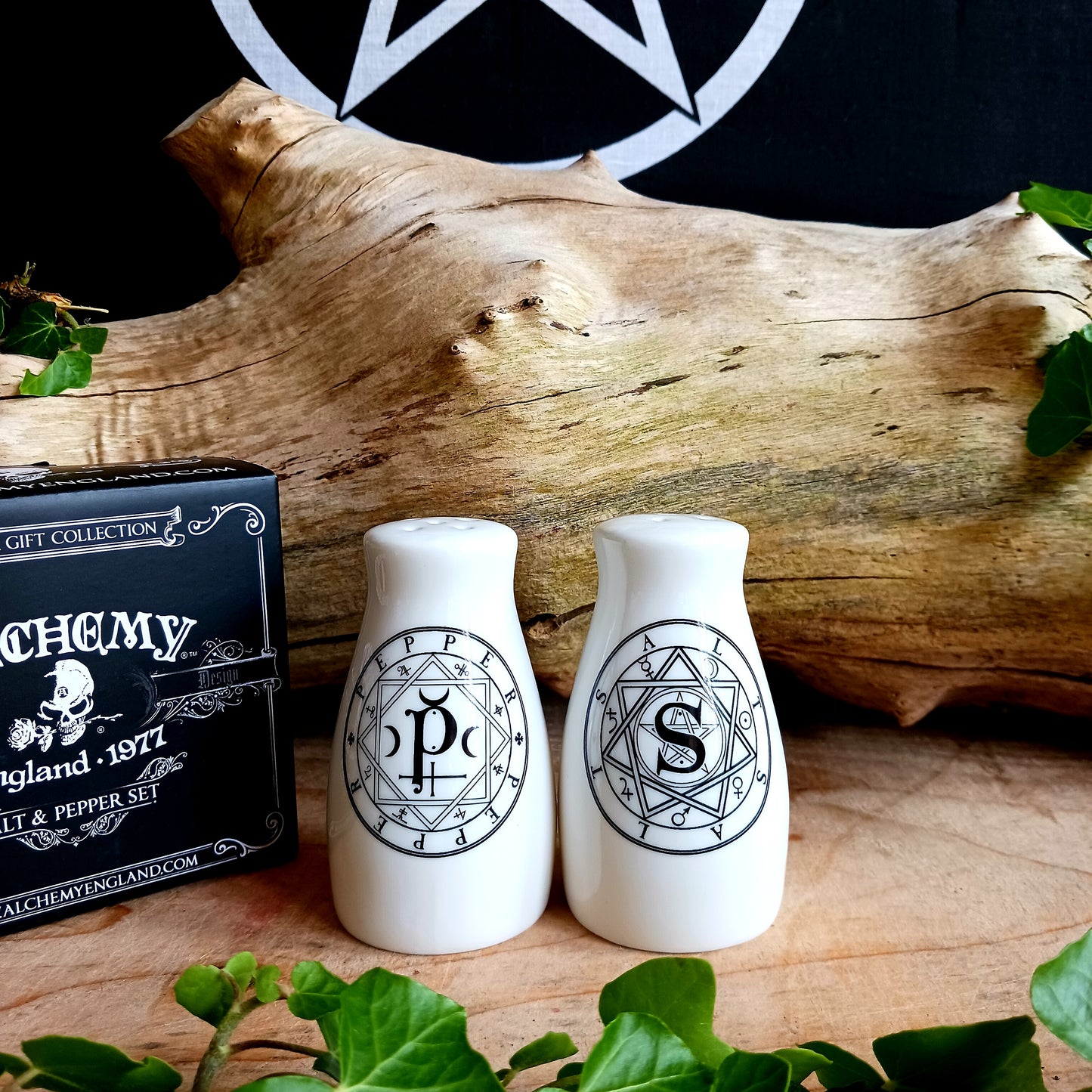 S & P: Salt & Pepper Set Alchemy Gothic Gifts