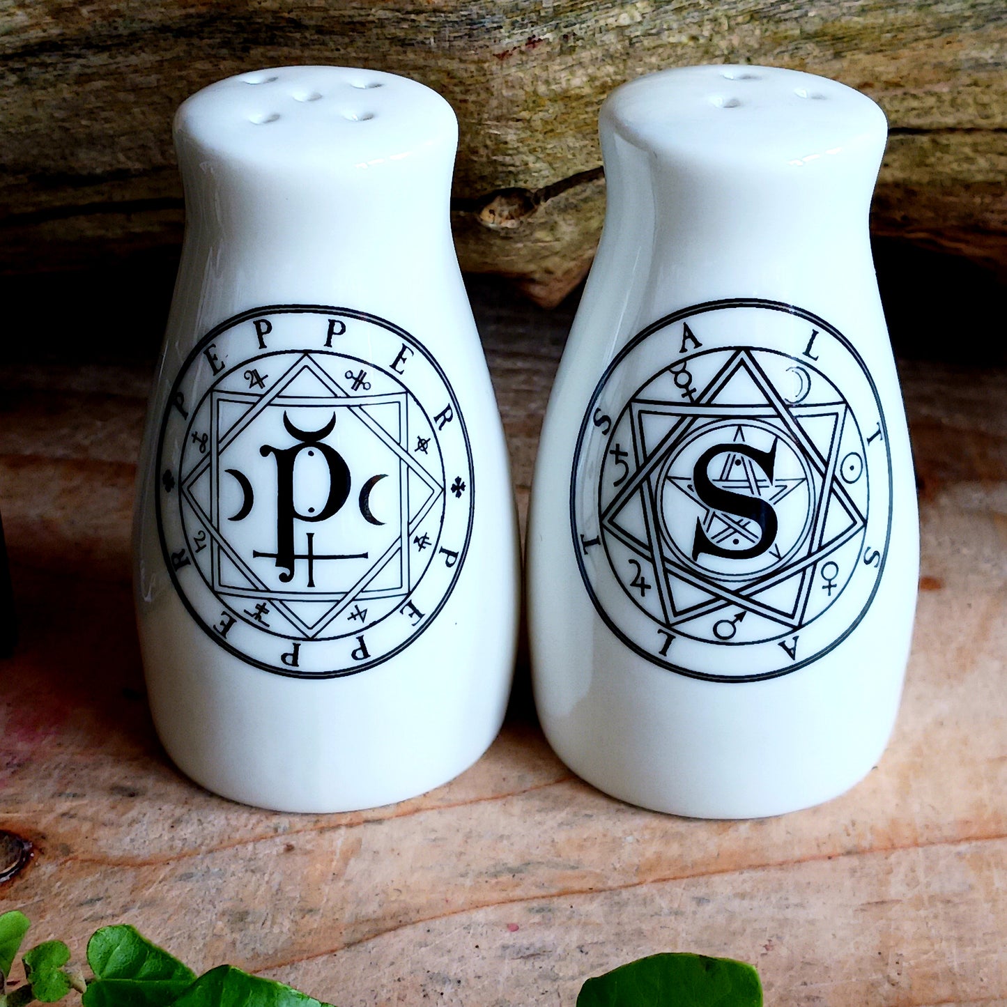 S & P: Salt & Pepper Set Alchemy Gothic Gifts