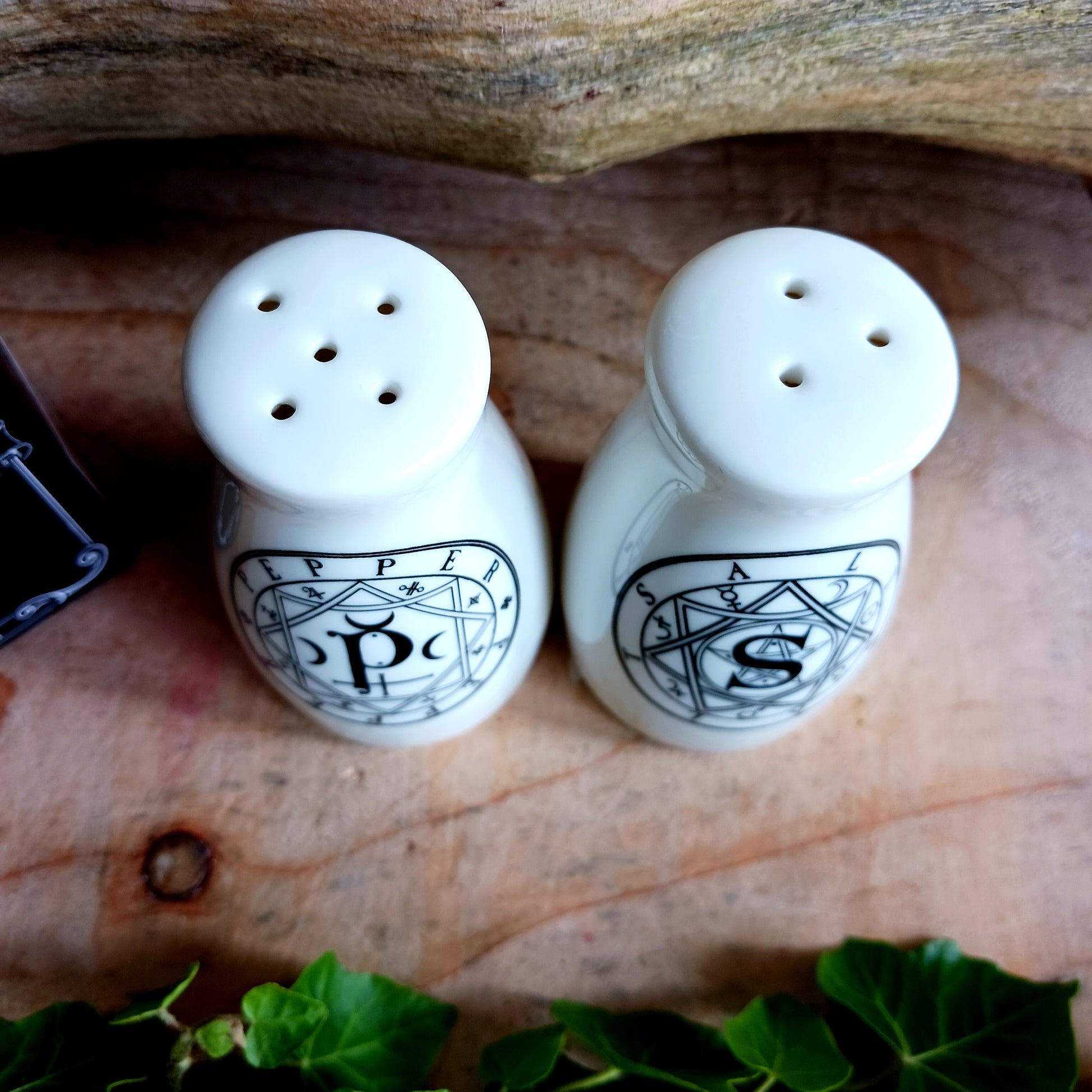 S & P: Salt & Pepper Set Alchemy Gothic Gifts