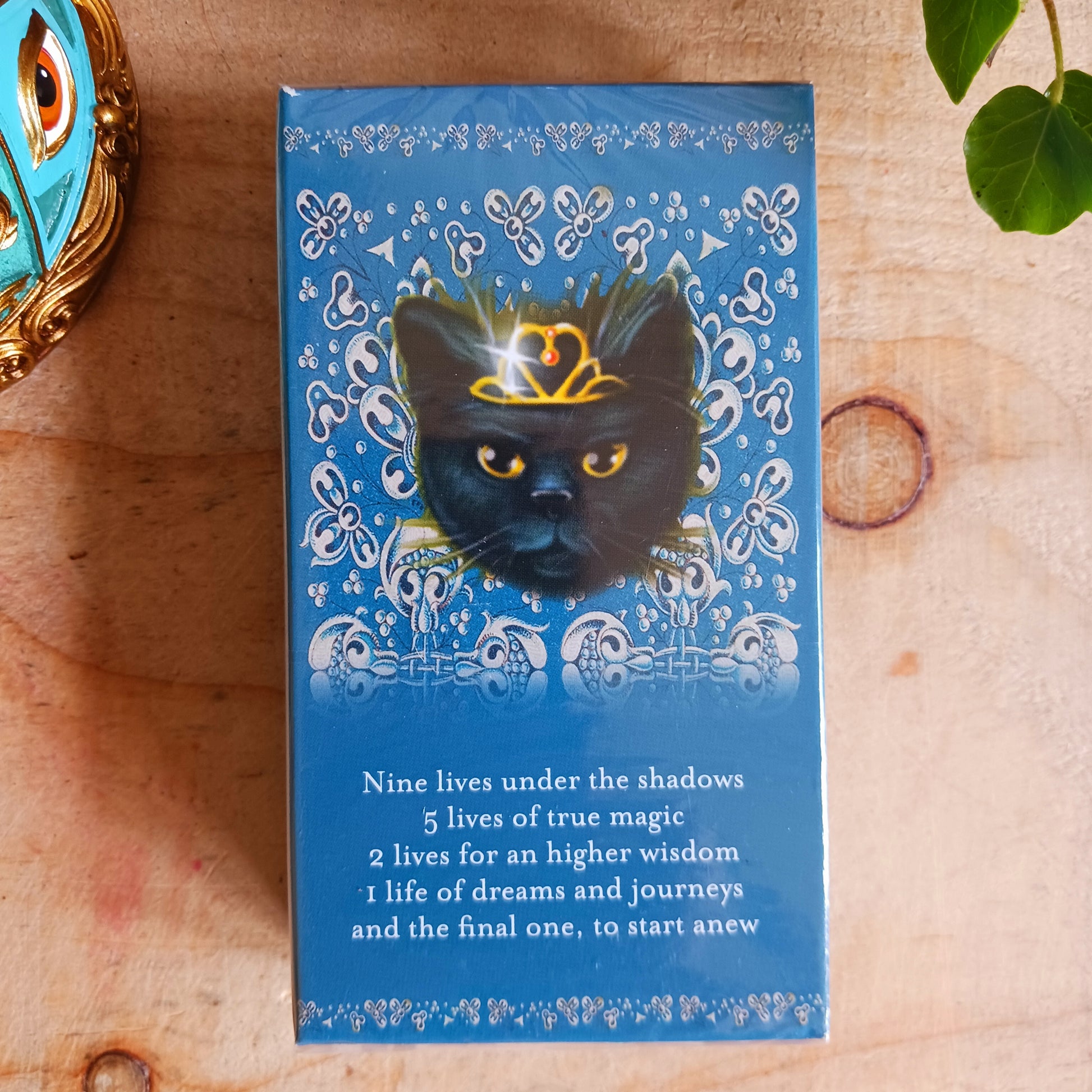 Black Cats Tarot Cards