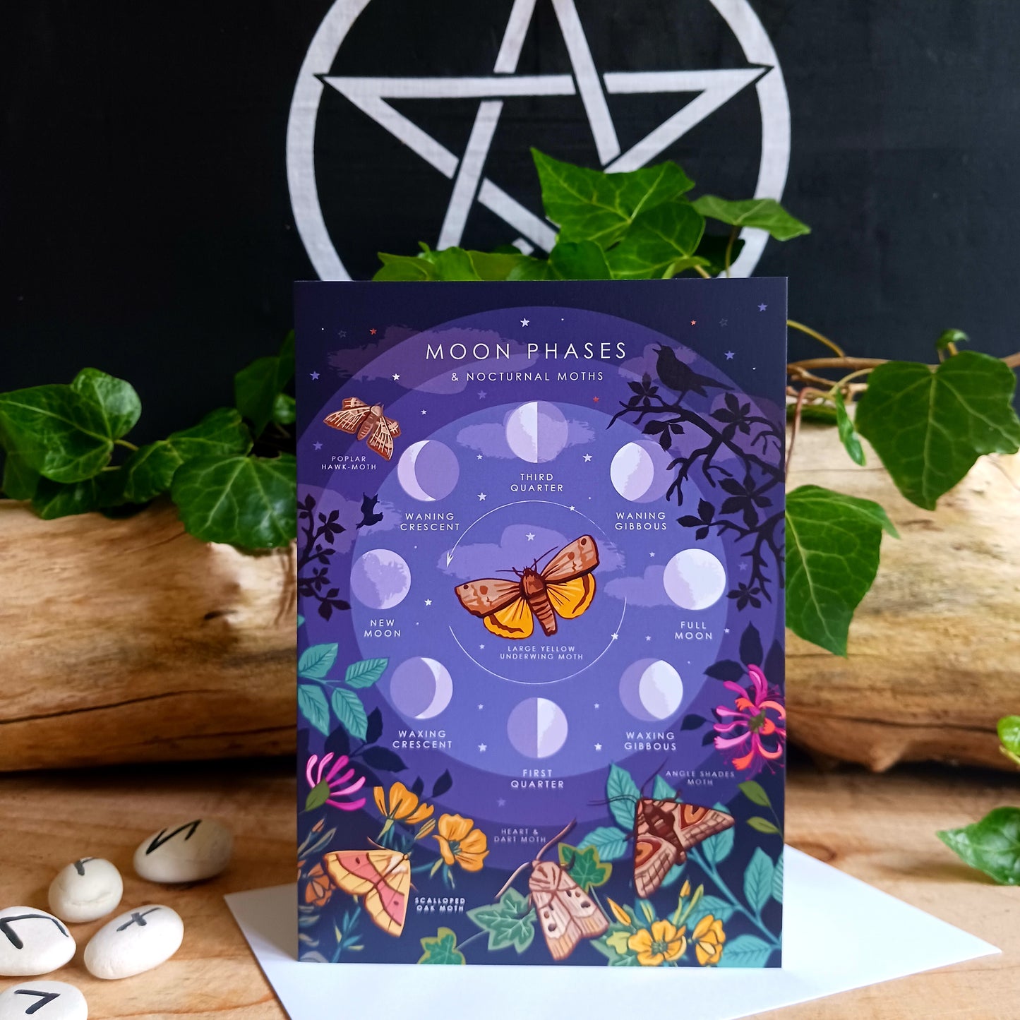 Moon Phases & Nocturnal Moths Greetings Card