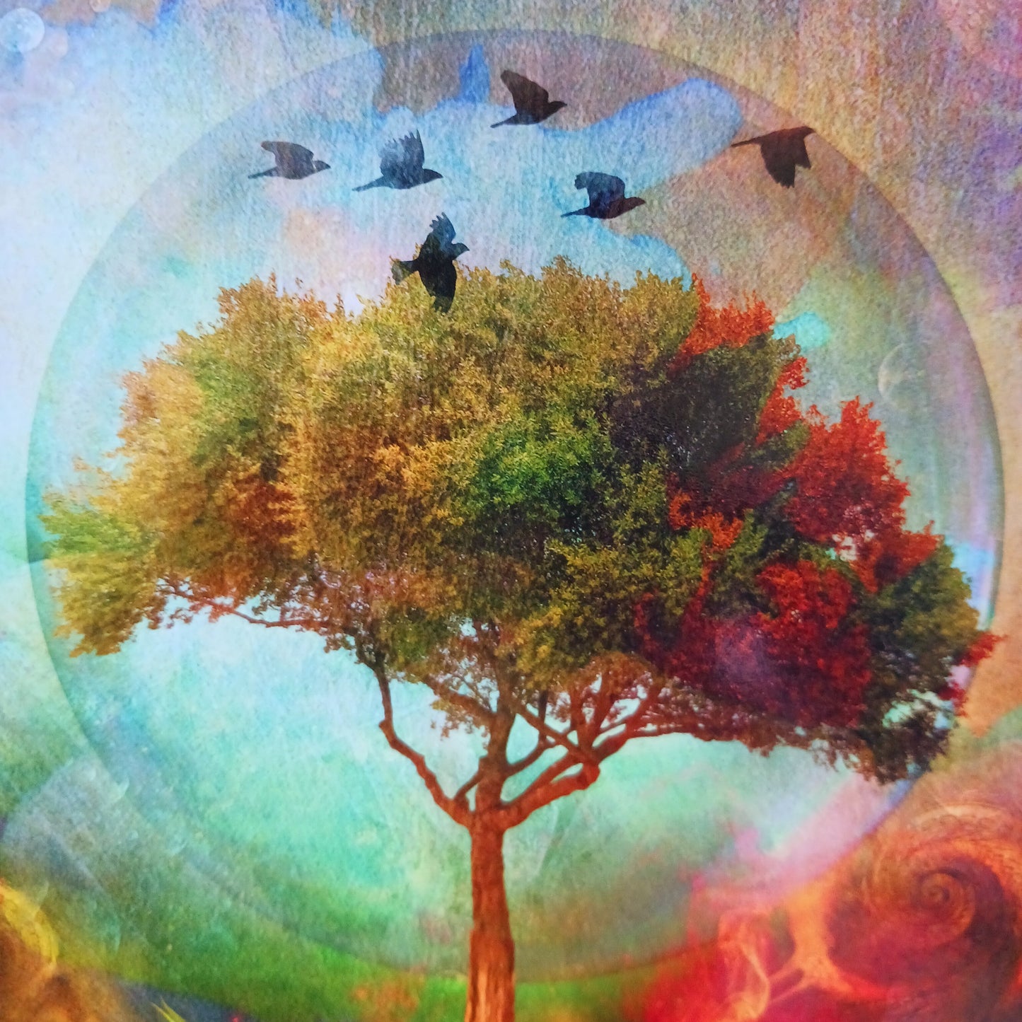 Tree of Life Greetings Card