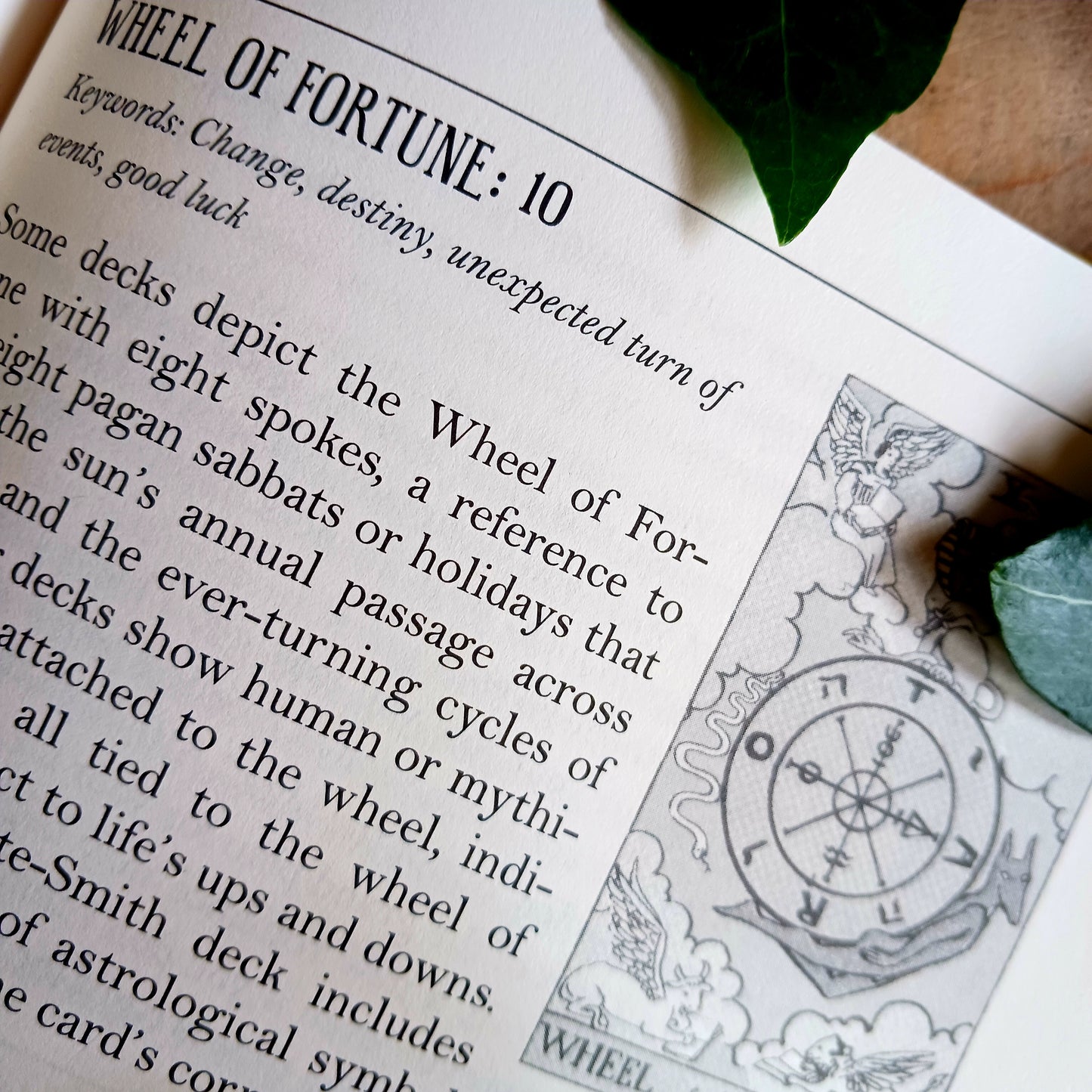 The Modern Witchcraft Book Of Tarot