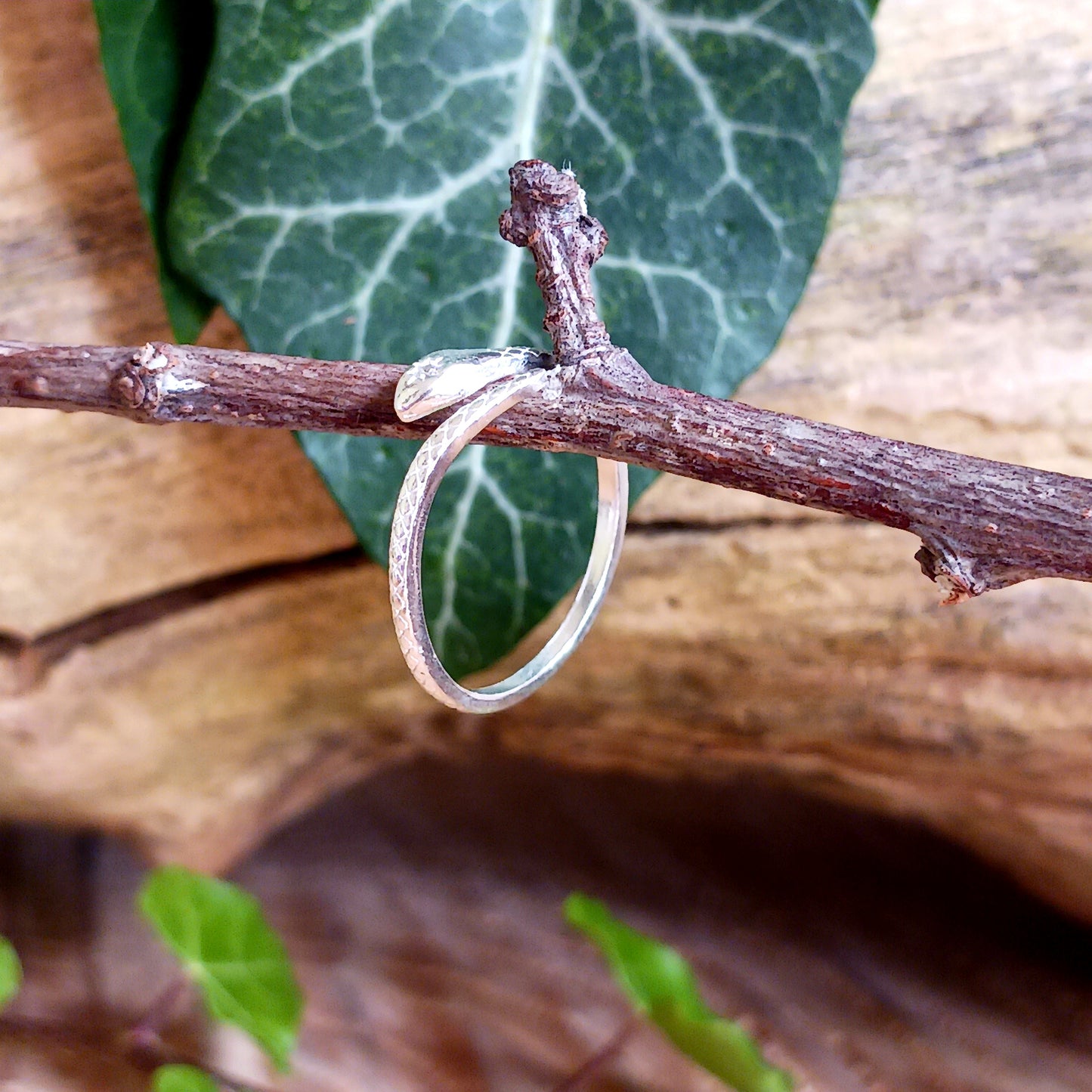 Open Snake Ring | 925 Sterling Silver