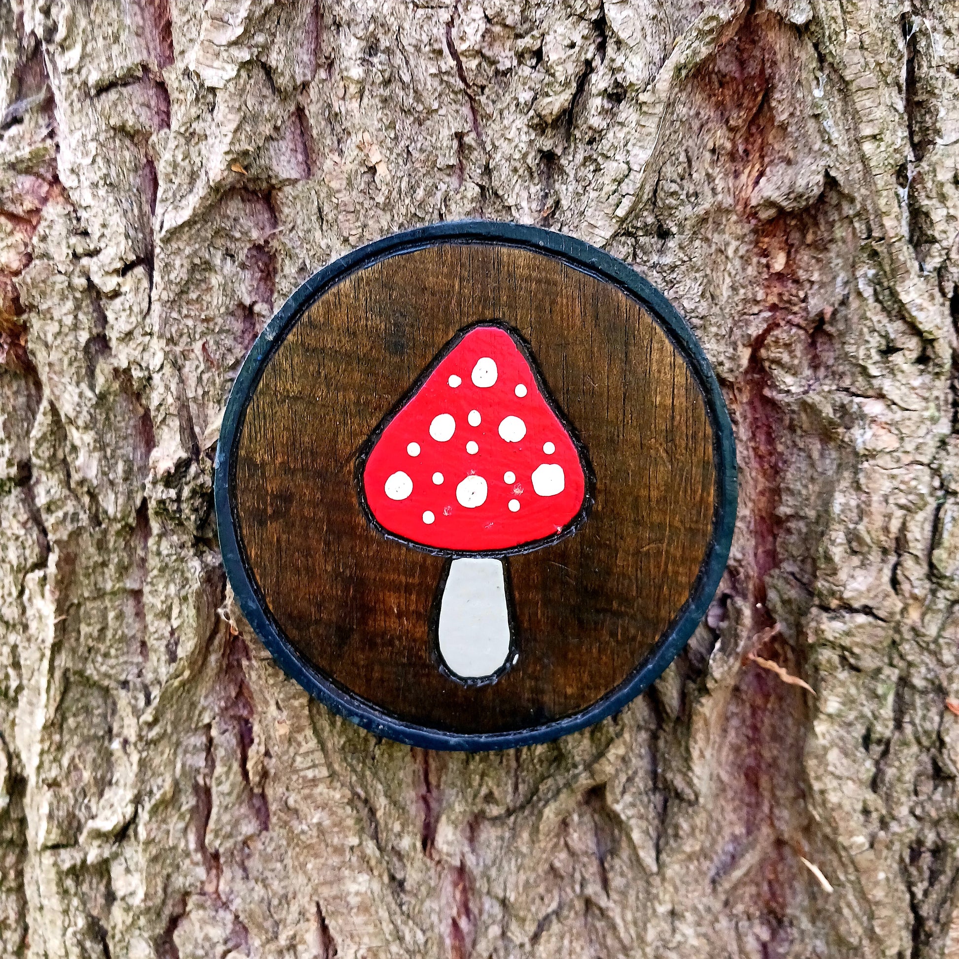 This cute and colourful mini plaque features a single hand painted fly agaric mushroom that will brighten up any room or outhouse.&nbsp; The plaque comes complete with a handy hanging hook.