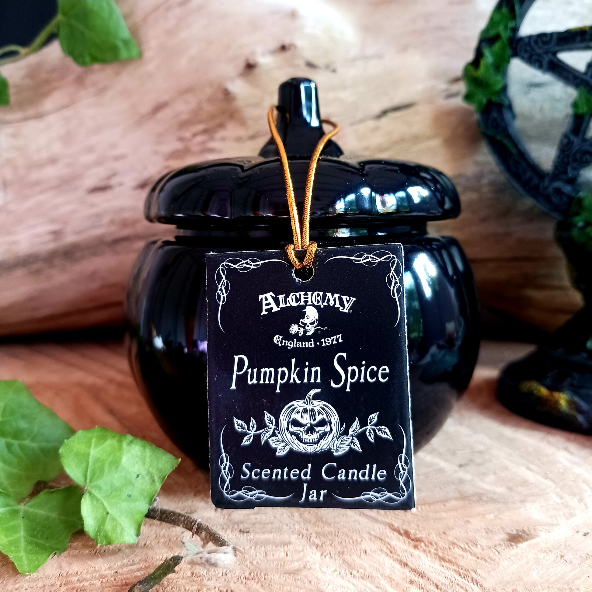 Pumpkin Spice Candle | alchemy Gothic Pumpkin candle