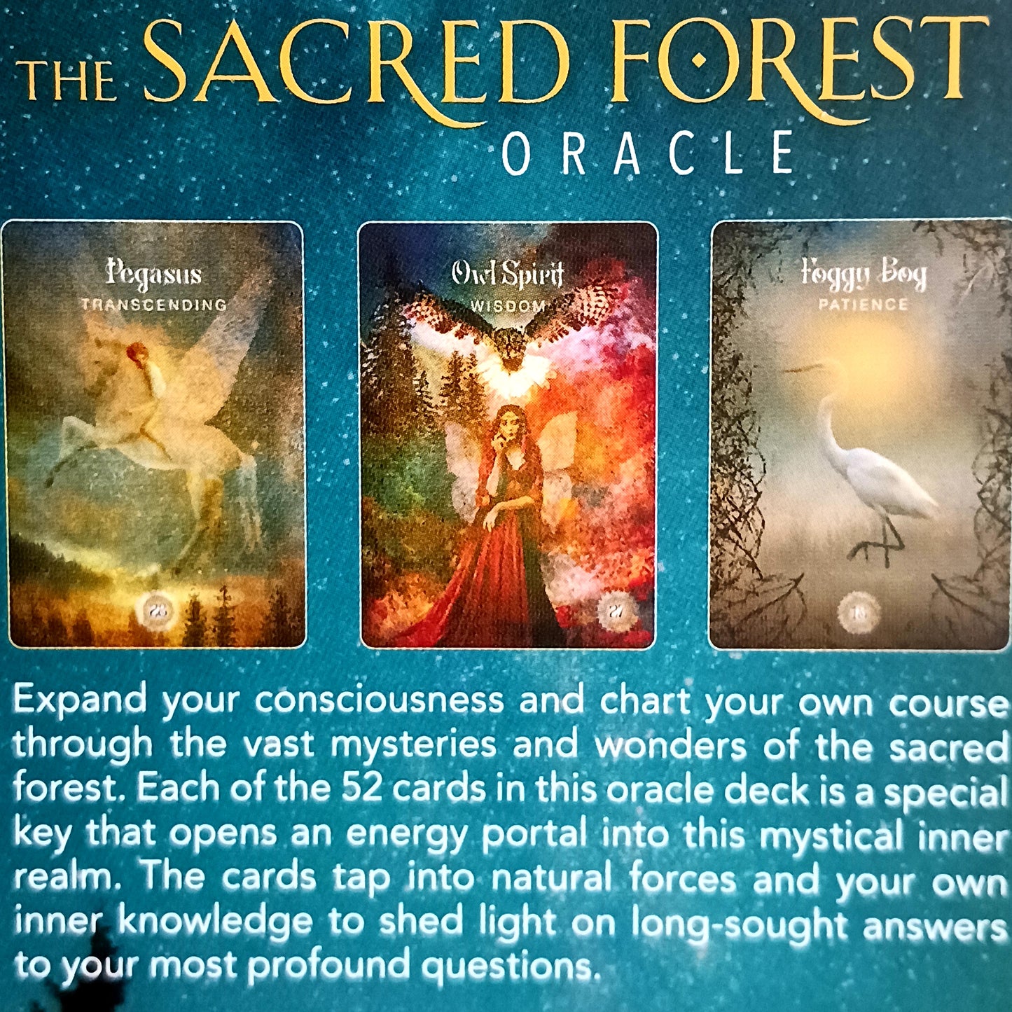 The Sacred Forest Oracle card deck by Denise Linn includes a 52-card deck and 144 page guidebook. This deck opens the user's inner self to expand and enlighten their spiritual journey. Beautifully presented in a matching box.