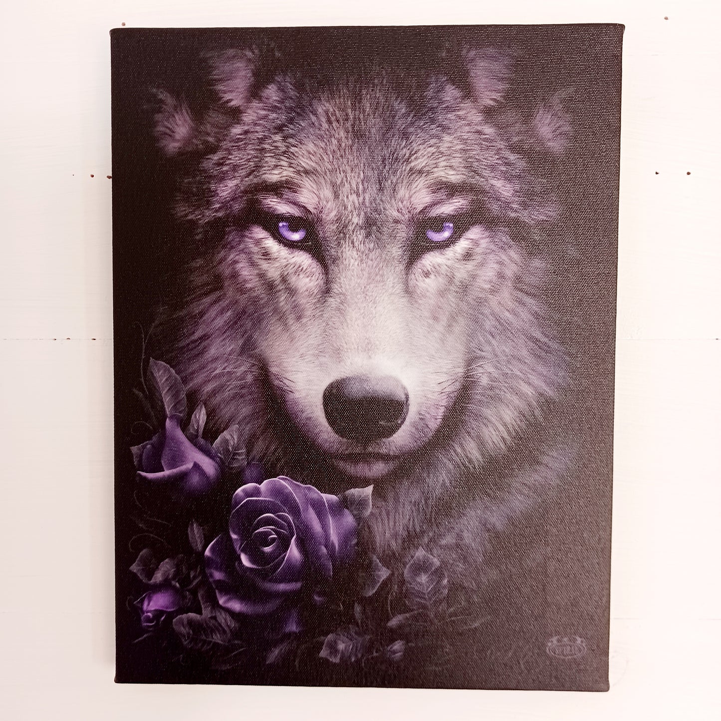 This dark and alluring canvas plaque features a beautiful, majestic wolf accented by purple roses.  This canvas is perfect for lovers of gothic art and those with a fascination for the enigmatic.