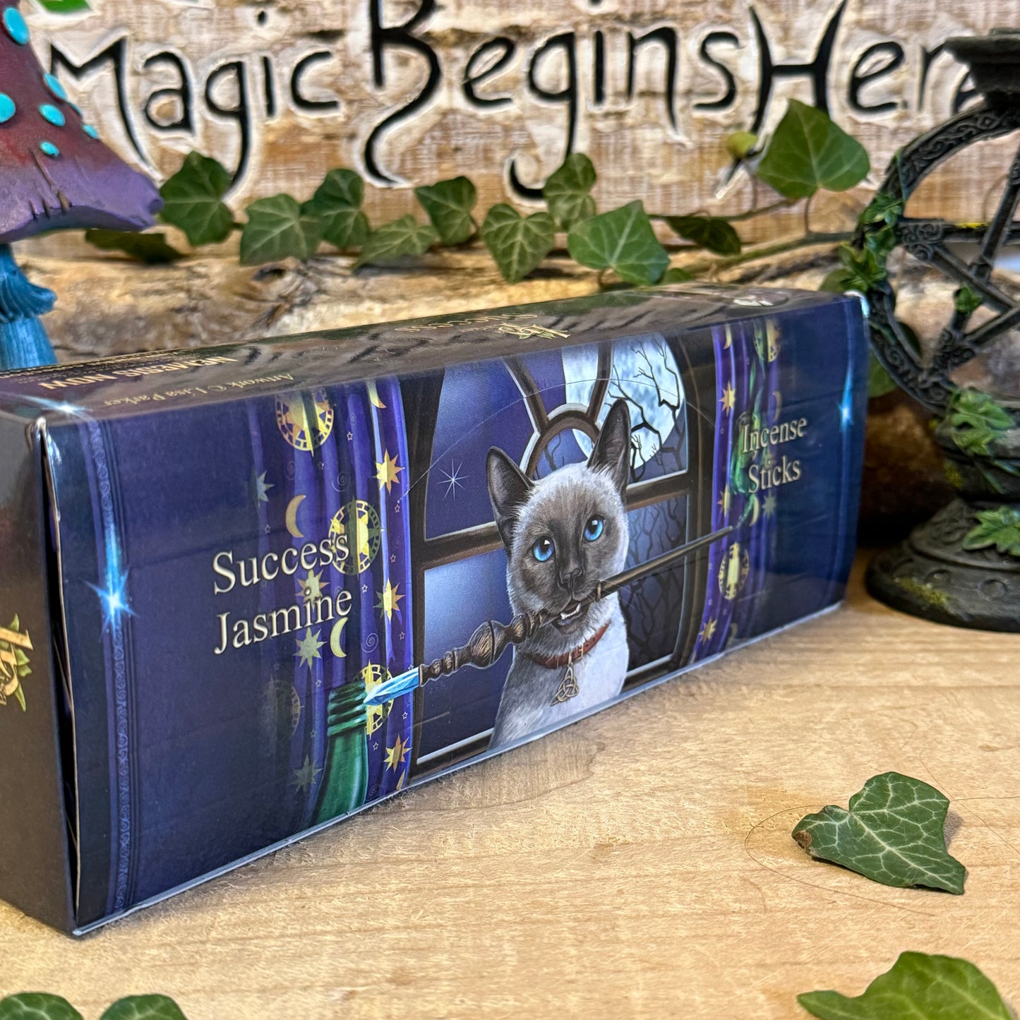 Lisa Parker Jasmine Scented Success Incense sticks with mystical artwork packaging