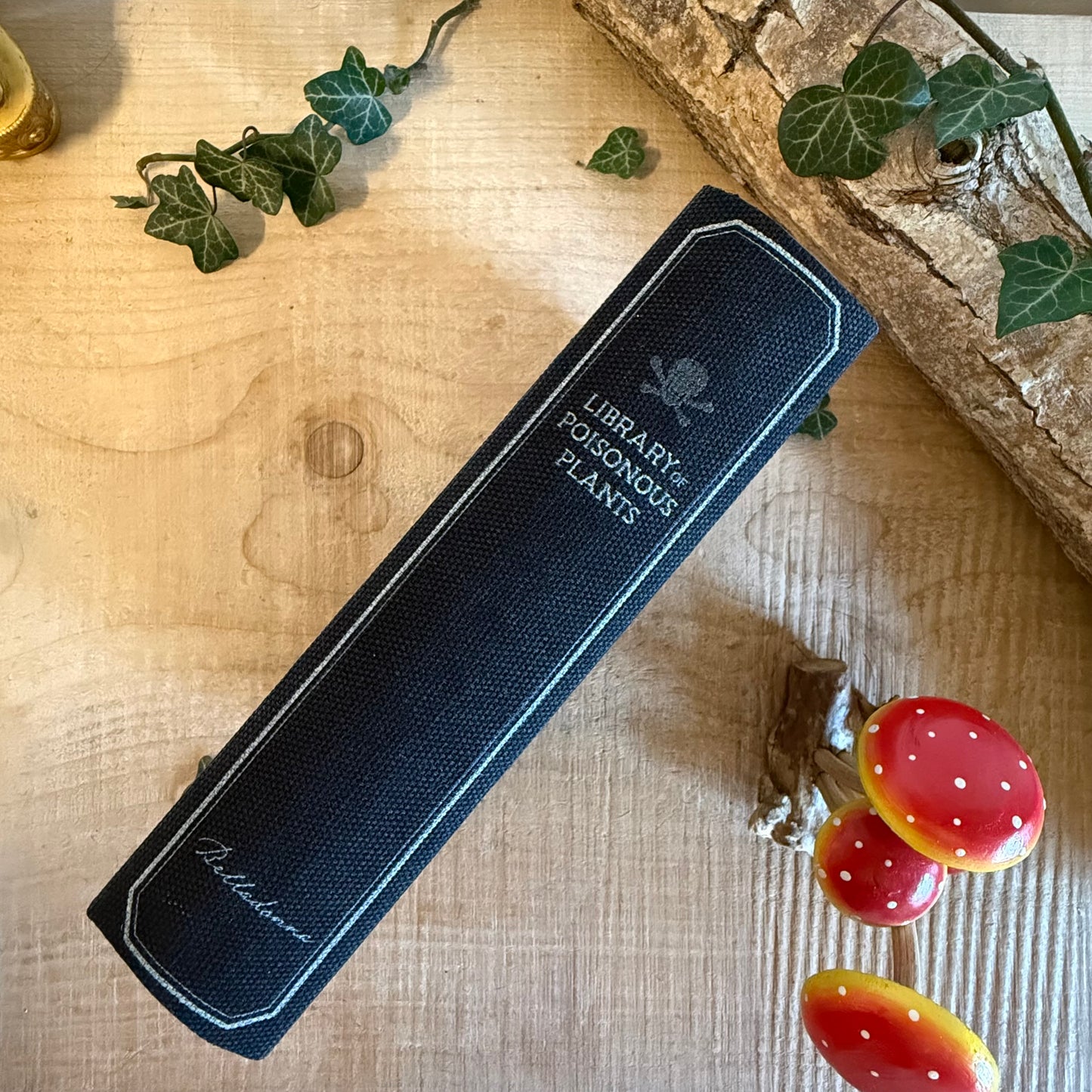 Hide treasures in the Library of Poisonous Plants book shaped storage box. Gothic botanical MDF keepsake box for secret storage and decor.