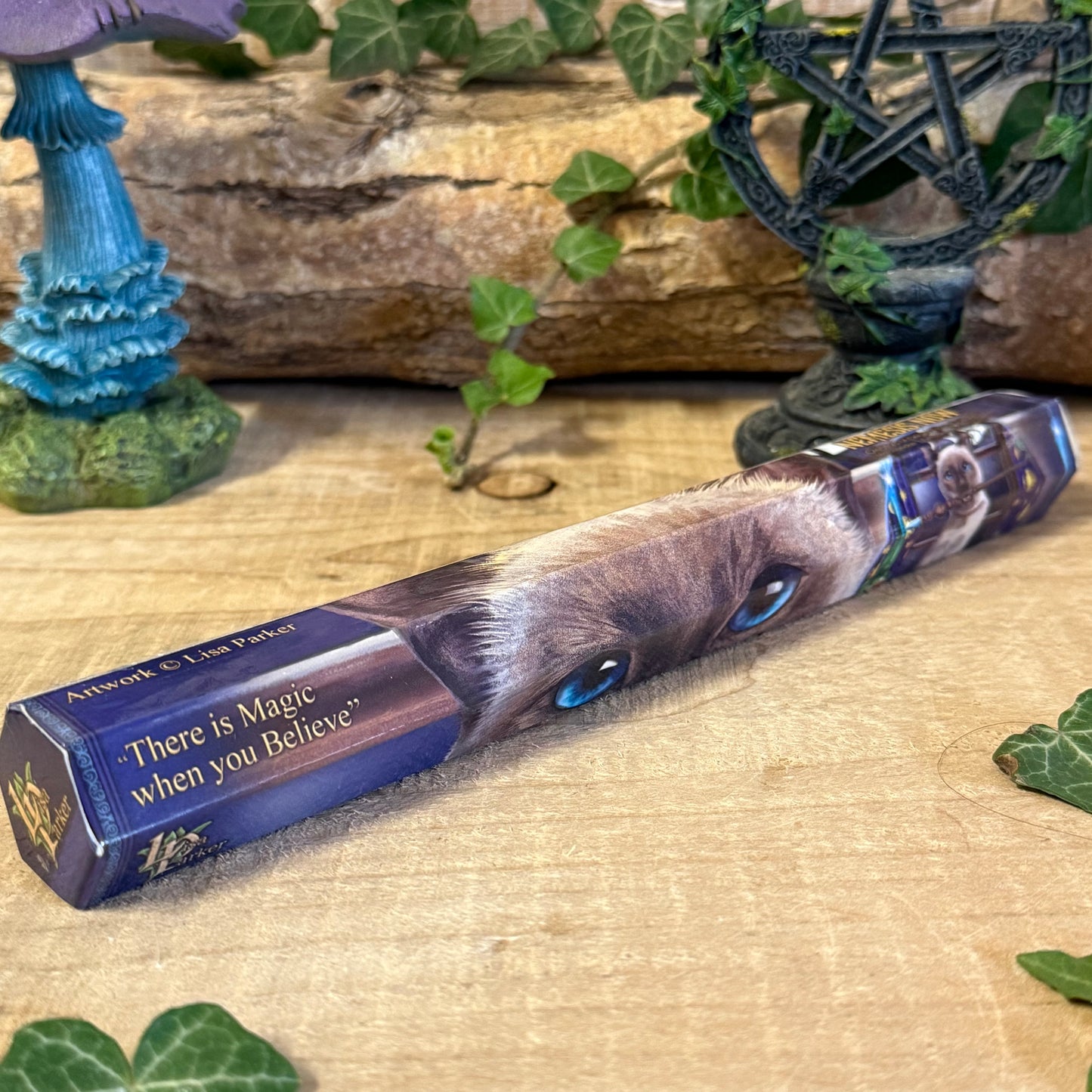 Lisa Parker Jasmine Scented Success Incense sticks with mystical artwork packaging