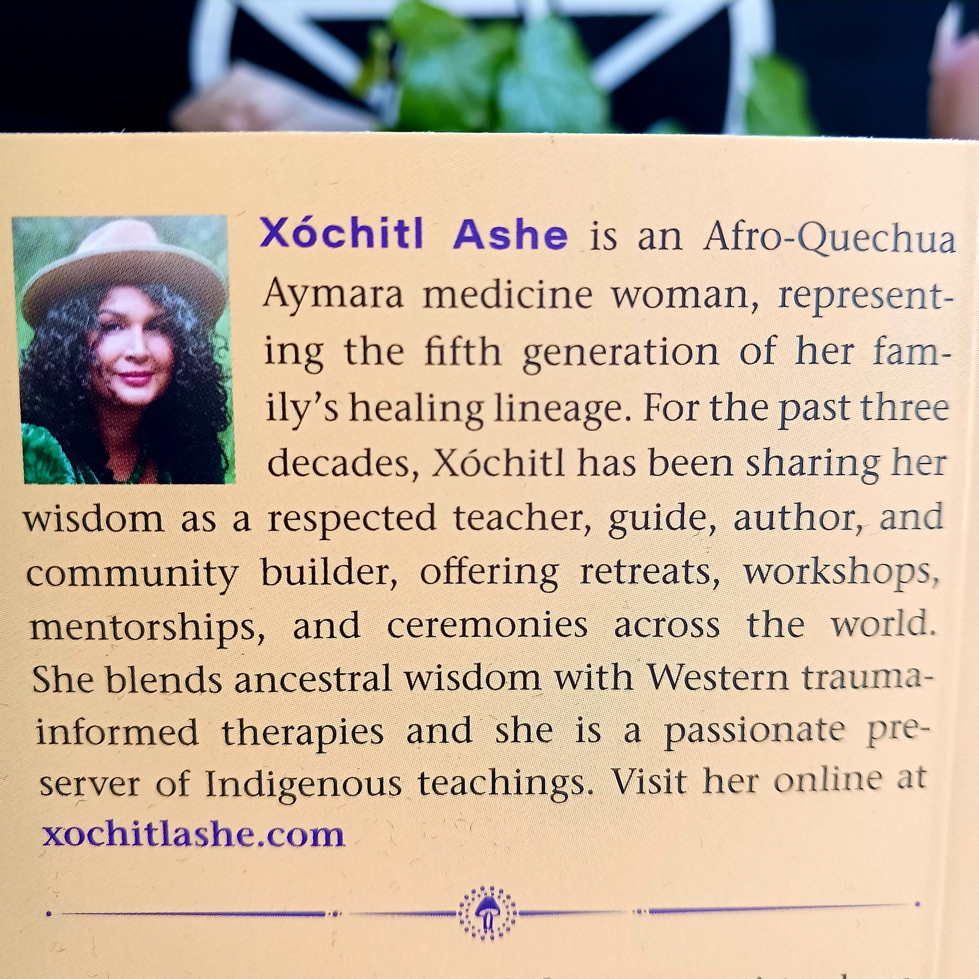 Step into the mystical world of mushroom wisdom with The Sacred Mushroom Oracle – Mushroom Medicine and Magic, a powerful 44-card oracle deck designed to guide your spiritual journey.