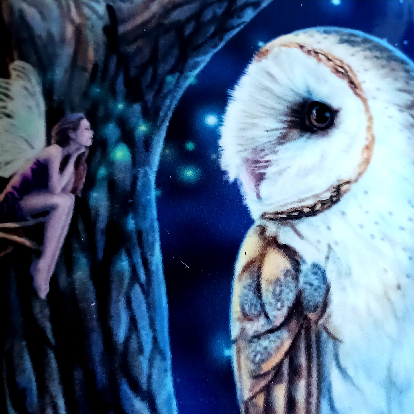 Protect your glasses with a touch of magic using this enchanting Lisa Parker Fairy Tales Glasses Case. Featuring the captivating Fairy Tales artwork by renowned fantasy artist Lisa Parker, this case is brought to life with a vibrant, high-quality print that adds mystical charm to your everyday essentials.