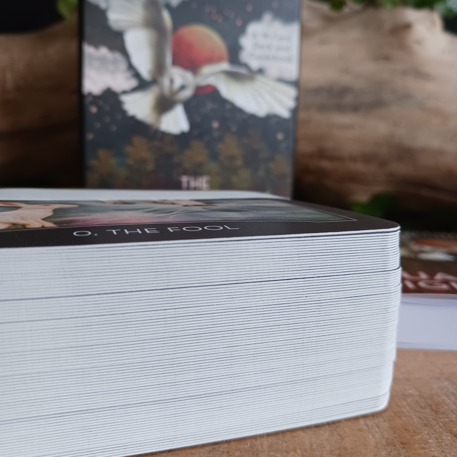 Step into the wisdom of the night with The Guardian of the Night Tarot Deck by MJ Cullinane, a beautifully illustrated 78-card tarot deck with a companion guidebook. This unique deck uses powerful animal symbolism from cultures around the world to illuminate light within darkness, offering guidance during times of uncertainty, transformation, and introspection.