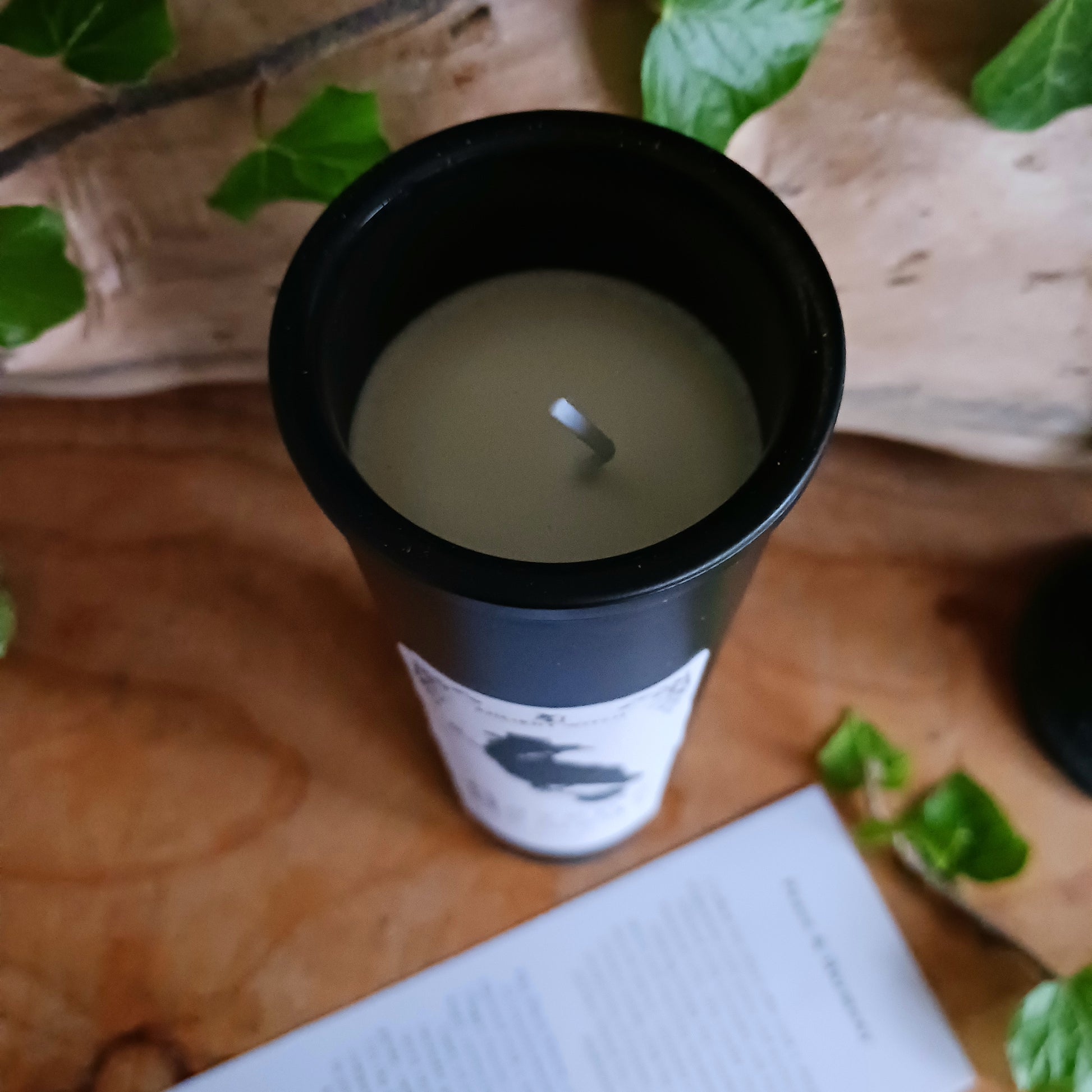 Restore balance and calm with the Ancient Witch Raven’s Remedy Candle – Peace &amp; Harmony, a powerful ritual candle created for healing, emotional clarity, and spiritual protection.