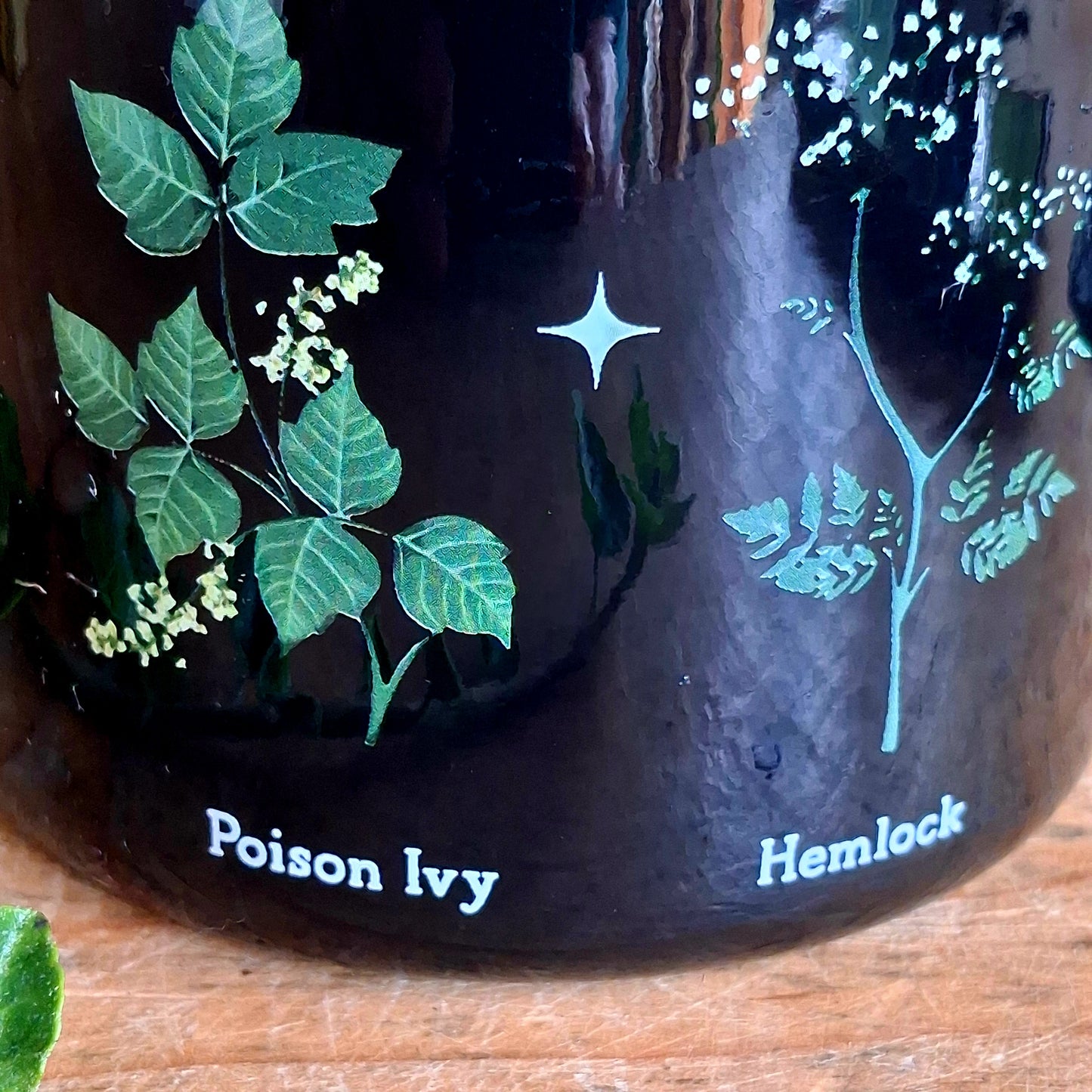 Start your mornings with a touch of gothic elegance. This black enamel-style mug is adorned with intricate illustrations of notorious poisonous plants, including poison ivy, hemlock, deadly nightshade, angel’s trumpet, poison oak, mistletoe, and foxglove. Perfect for tea, coffee, or any dark brew of your choice, this mug blends botanical beauty with a mysterious edge.
