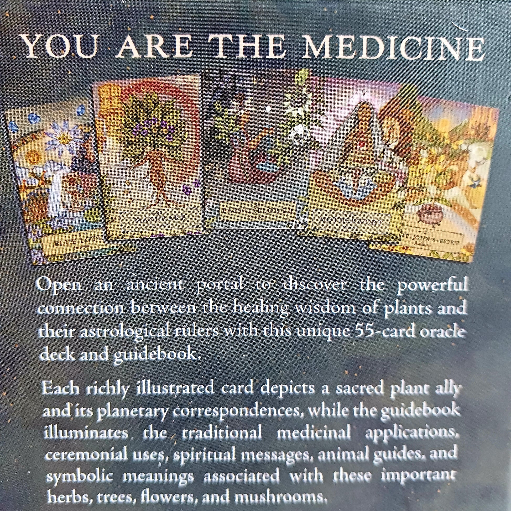 Unlock the wisdom of the natural world with The Herbal Astrology Oracle Card Deck by Adriana Ayales, a beautifully crafted spiritual tool designed to guide you toward healing, insight, and connection with plant medicine.
