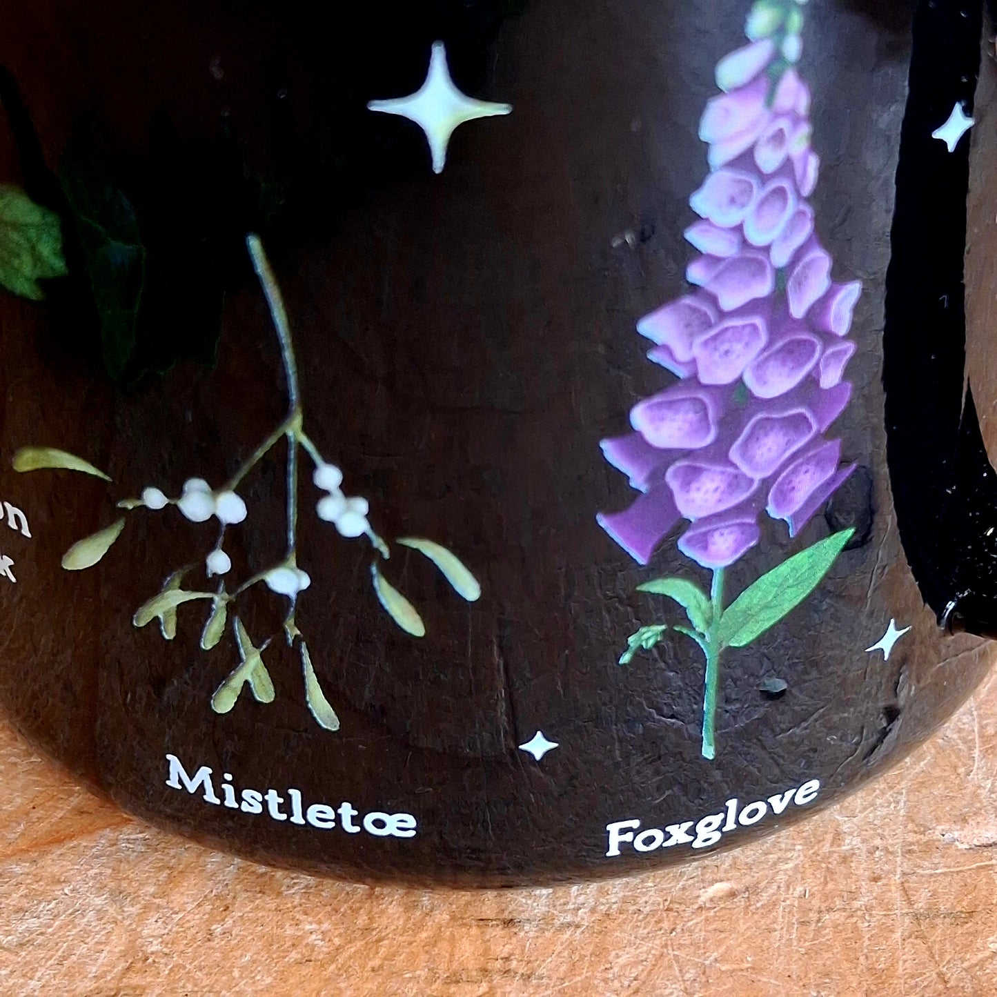 Start your mornings with a touch of gothic elegance. This black enamel-style mug is adorned with intricate illustrations of notorious poisonous plants, including poison ivy, hemlock, deadly nightshade, angel’s trumpet, poison oak, mistletoe, and foxglove. Perfect for tea, coffee, or any dark brew of your choice, this mug blends botanical beauty with a mysterious edge.