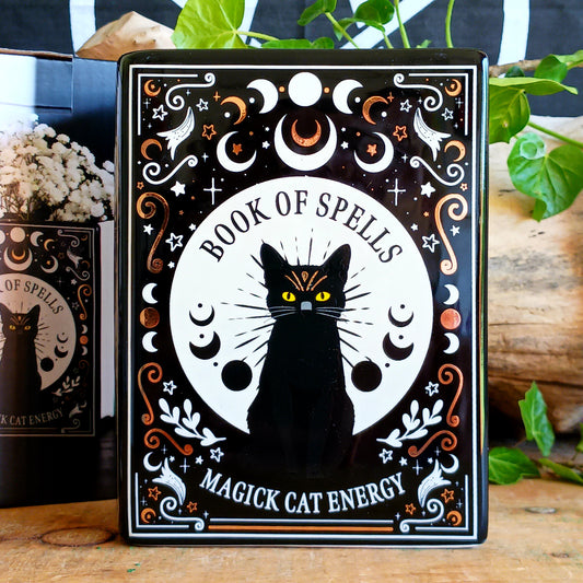 Bring a touch of dark enchantment to your home décor with the Black Cat Spell Book Ceramic Vase. Designed to resemble an ancient magical spell book, this unique ceramic vase transforms fresh flowers, dried stems, or decorative arrangements into a captivating gothic display. Featuring an elegant black cat-inspired design, it’s the perfect statement piece for bookshelves, side tables, mantels, or altar-inspired interiors.