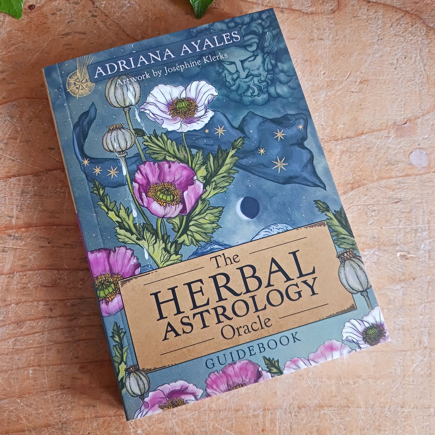Unlock the wisdom of the natural world with The Herbal Astrology Oracle Card Deck by Adriana Ayales, a beautifully crafted spiritual tool designed to guide you toward healing, insight, and connection with plant medicine.