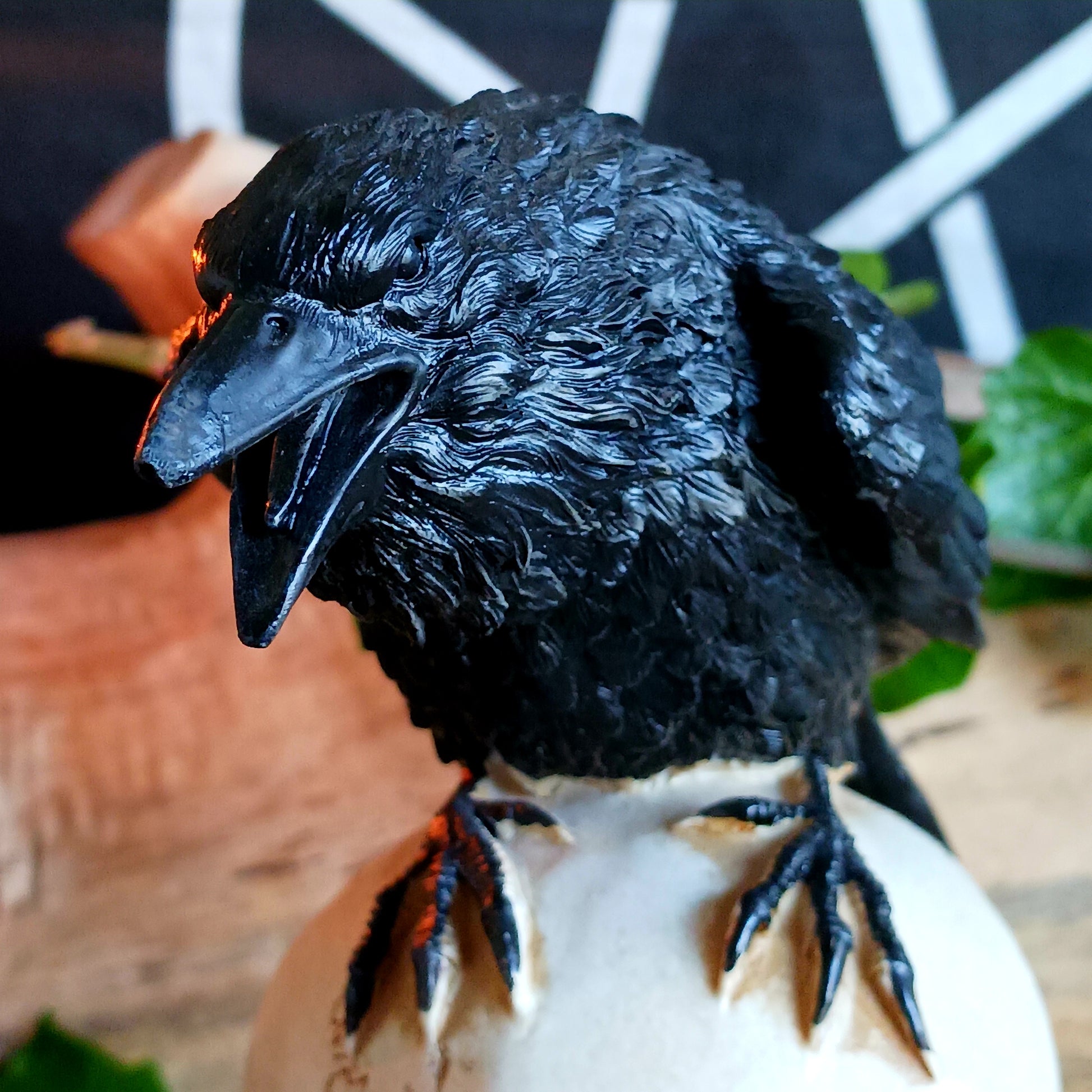 This detailed decorative sculpture from Alchemy England features a hand-painted cast resin human skull resting atop a stack of books, crowned by a black raven—a powerful symbol of memory, loss, and the supernatural. The raven’s presence echoes Poe’s famous refrain, “Nevermore,” capturing the dark gothic atmosphere that has fascinated readers for generations.