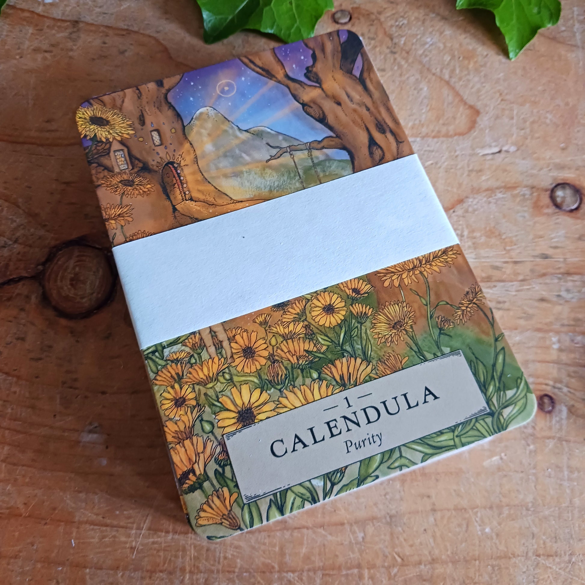 Unlock the wisdom of the natural world with The Herbal Astrology Oracle Card Deck by Adriana Ayales, a beautifully crafted spiritual tool designed to guide you toward healing, insight, and connection with plant medicine.