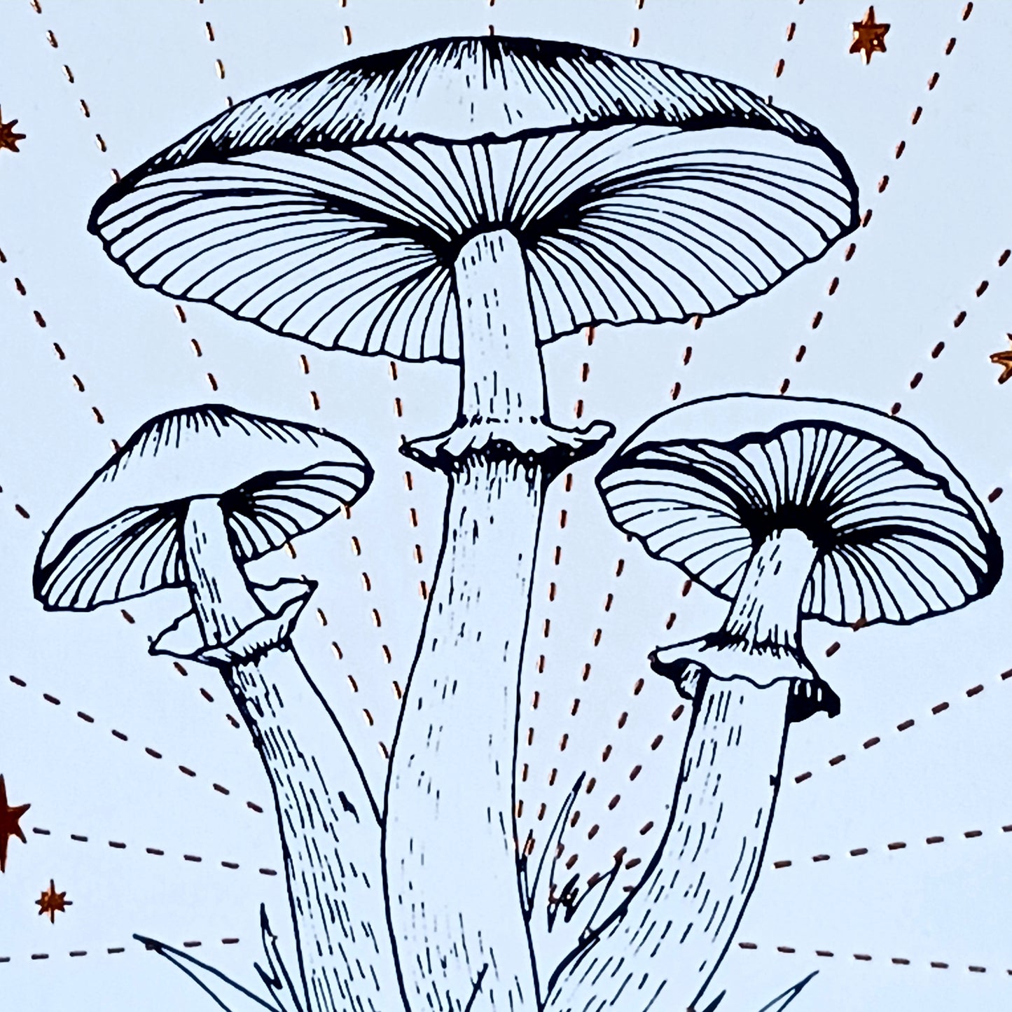 Dive into the fascinating world of mushrooms with this beautifully illustrated pocket guide. For thousands of years, fungi have captivated human imagination—serving as food, medicine, and myth.