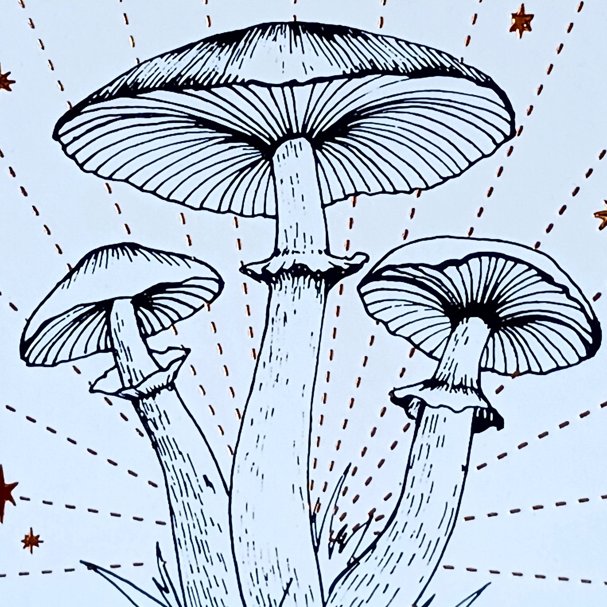 Dive into the fascinating world of mushrooms with this beautifully illustrated pocket guide. For thousands of years, fungi have captivated human imagination—serving as food, medicine, and myth.