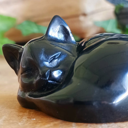 Bring a sense of calm, comfort and protection into your home with this beautifully carved Black Obsidian Sleeping Cat. Expertly shaped into a peaceful curled pose, this charming gemstone carving combines the graceful symbolism of a sleeping cat with the grounding beauty of natural black obsidian.