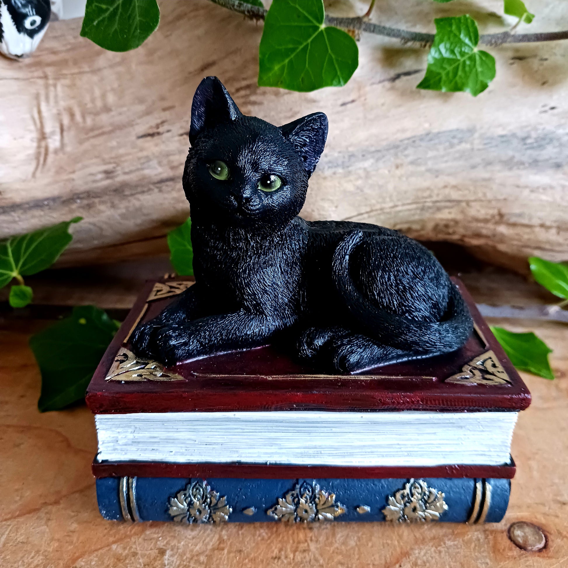 Add a touch of gothic charm to your home with this beautifully hand-painted resin figurine from Nemesis Now. Featuring a jet-black witch’s familiar perched atop two stacked spell books, this enchanting piece doubles as a storage box—simply lift the feline to reveal a hidden space perfect for trinkets, crystals, or other magical treasures. 