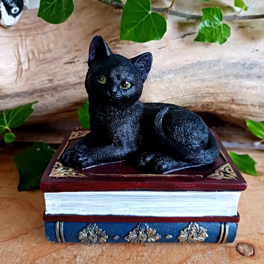 Add a touch of gothic charm to your home with this beautifully hand-painted resin figurine from Nemesis Now. Featuring a jet-black witch’s familiar perched atop two stacked spell books, this enchanting piece doubles as a storage box—simply lift the feline to reveal a hidden space perfect for trinkets, crystals, or other magical treasures. 