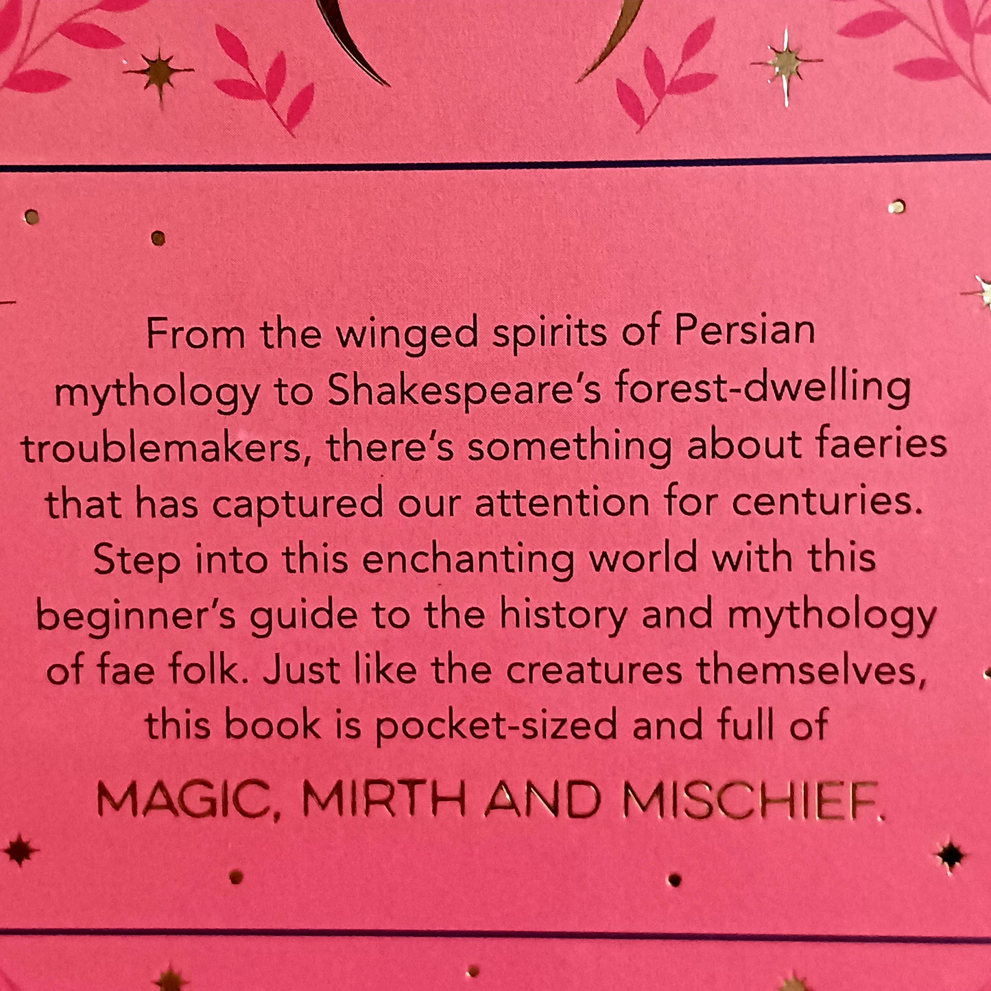 From the winged spirits of Persian mythology to Shakespeare’s mischievous woodland faeries, the realm of the fae has long enchanted storytellers and dreamers alike. The Little Book of Faeries by Mel Barren invites you to explore the history, mythology, and mystery of these otherworldly beings. 