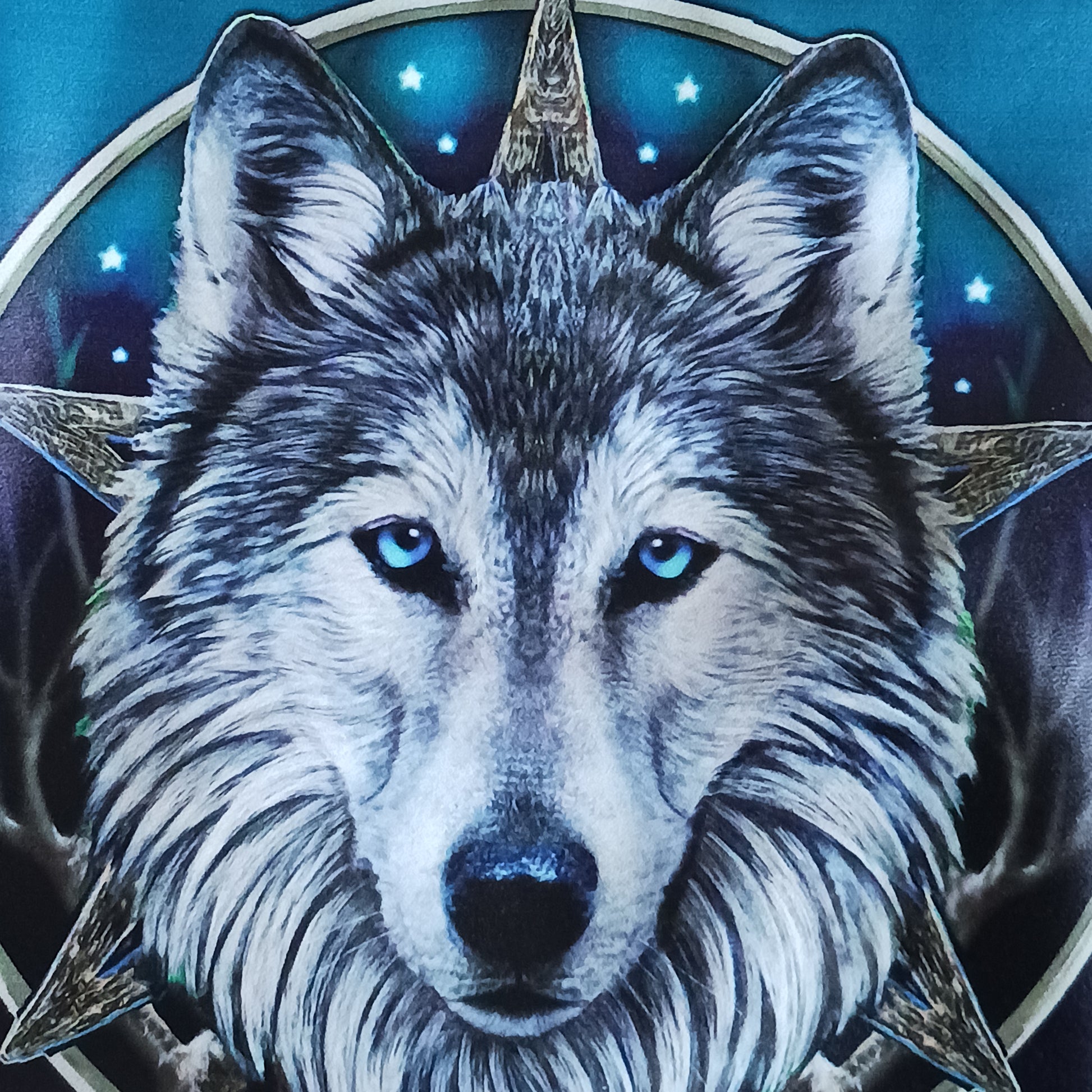 Step into the wild with this visually striking Lisa Parker Wolf Shoulder Bag, from Nemesis Now. Featuring artwork from the renowned fantasy and wildlife artist Lisa Parker, this bag captures the raw spirit of nature and mysticism.