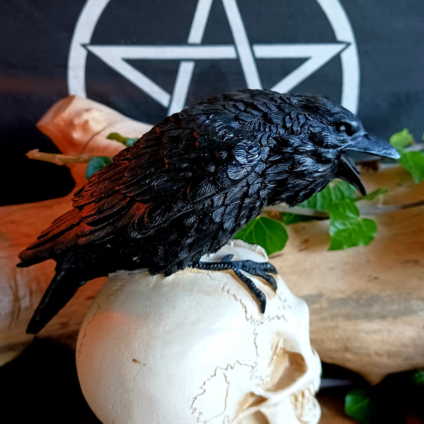 This detailed decorative sculpture from Alchemy England features a hand-painted cast resin human skull resting atop a stack of books, crowned by a black raven—a powerful symbol of memory, loss, and the supernatural. The raven’s presence echoes Poe’s famous refrain, “Nevermore,” capturing the dark gothic atmosphere that has fascinated readers for generations.