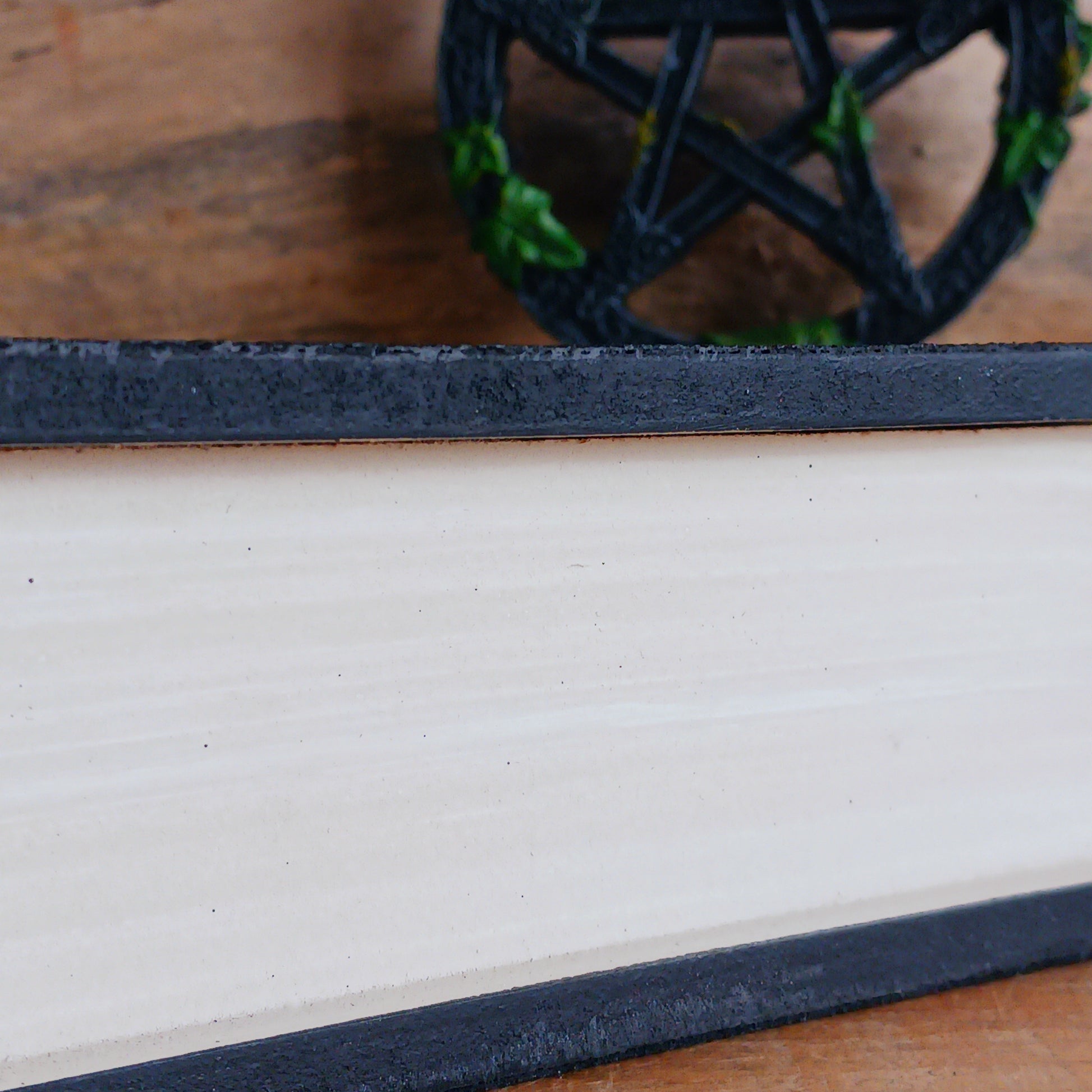 The Raven Book Shaped Storage Box is a gothic keepsake inspired by Edgar Allan Poe’s timeless poem The Raven.