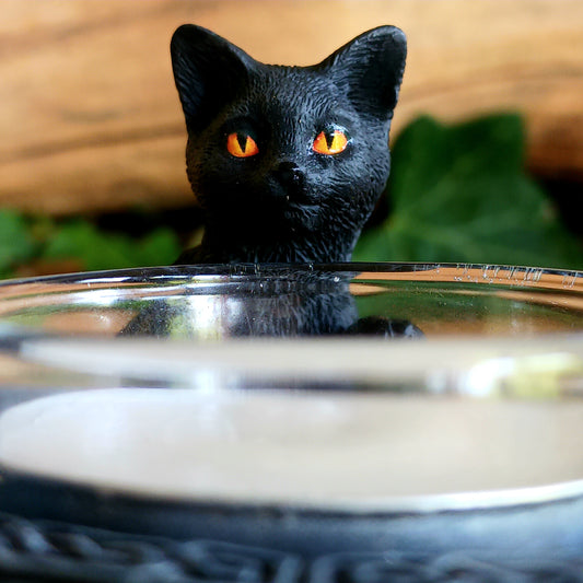 Bring a touch of playful witchcraft and gothic charm into your home with the Familiar Trio Tea Light Holder. Featuring three mischievous black cat familiars gathered around a central tealight, this enchanting candle holder creates a warm and atmospheric glow with plenty of magical character.