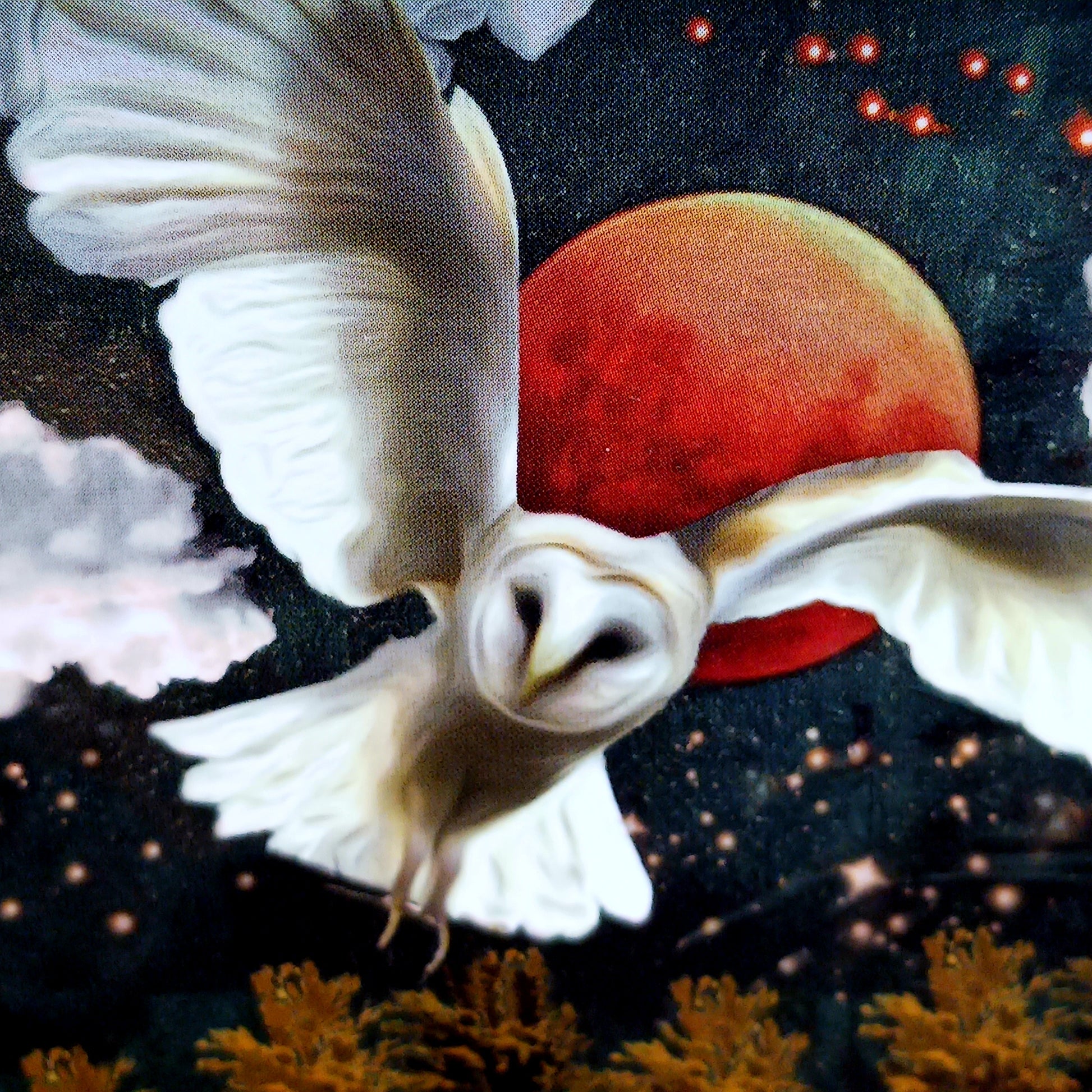 Step into the wisdom of the night with The Guardian of the Night Tarot Deck by MJ Cullinane, a beautifully illustrated 78-card tarot deck with a companion guidebook. This unique deck uses powerful animal symbolism from cultures around the world to illuminate light within darkness, offering guidance during times of uncertainty, transformation, and introspection.