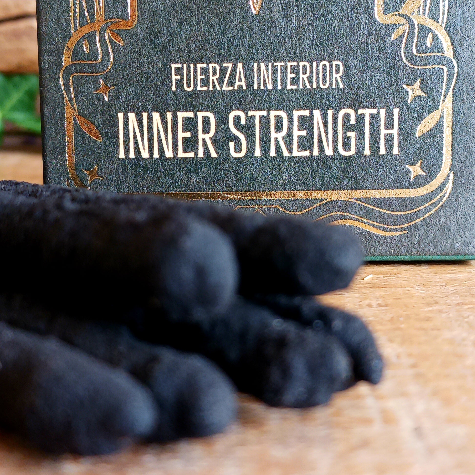 Support your journey of self-empowerment with Sagrada Madre Ritual Inner Strength incense. Handmade in Argentina, each 23 cm stick is crafted using aromatic concentrated oils, charcoal, salt, and a plant-based binder. This grounding blend is designed to help restore emotional balance and resilience.