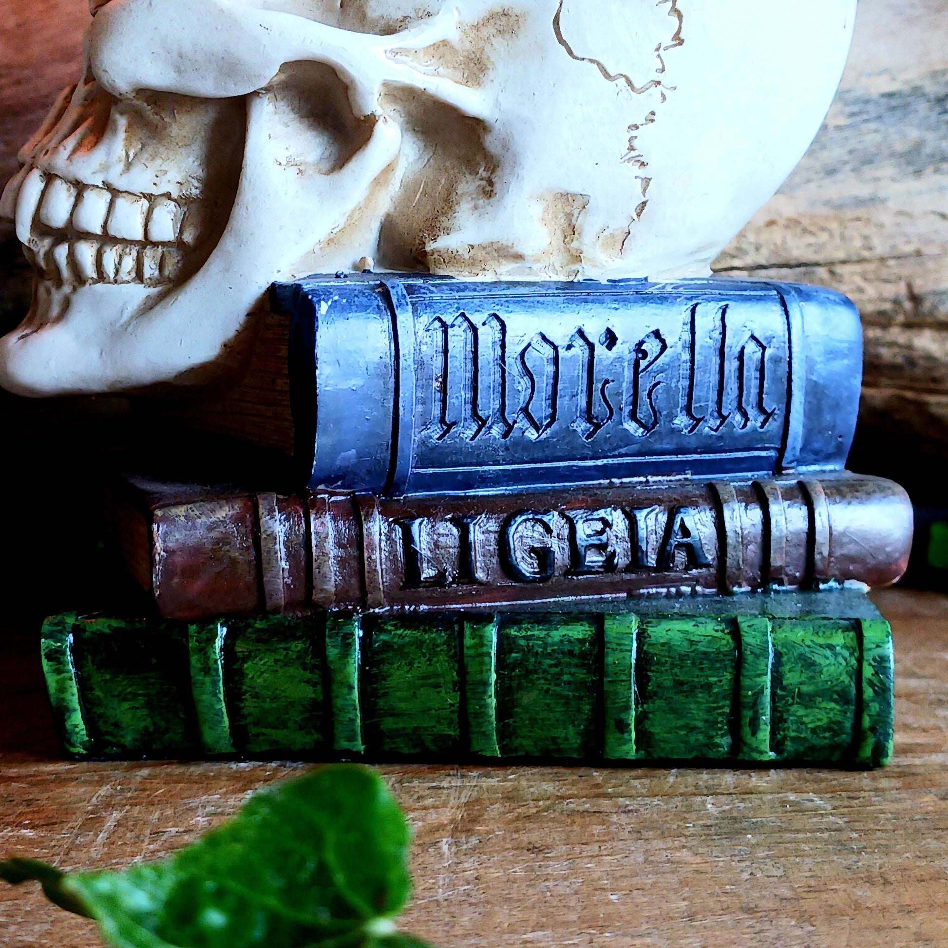 This detailed decorative sculpture from Alchemy England features a hand-painted cast resin human skull resting atop a stack of books, crowned by a black raven—a powerful symbol of memory, loss, and the supernatural. The raven’s presence echoes Poe’s famous refrain, “Nevermore,” capturing the dark gothic atmosphere that has fascinated readers for generations.