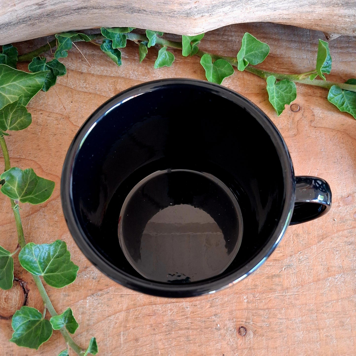 Start your mornings with a touch of gothic elegance. This black enamel-style mug is adorned with intricate illustrations of notorious poisonous plants, including poison ivy, hemlock, deadly nightshade, angel’s trumpet, poison oak, mistletoe, and foxglove. Perfect for tea, coffee, or any dark brew of your choice, this mug blends botanical beauty with a mysterious edge.