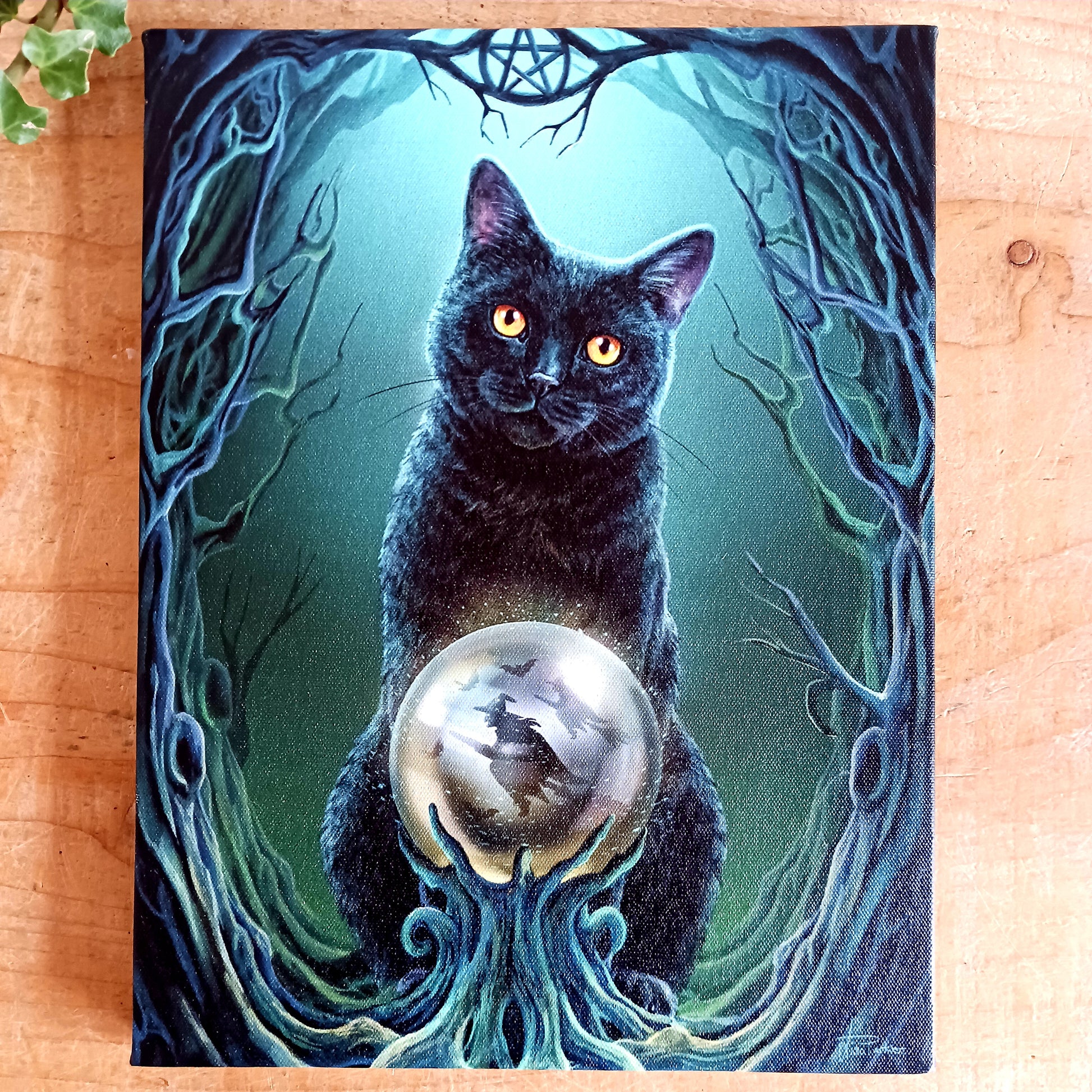 The Rise of the Witches Canvas Plaque by renowned fantasy artist Lisa Parker captures a powerful moment of witchcraft and feminine magic. 