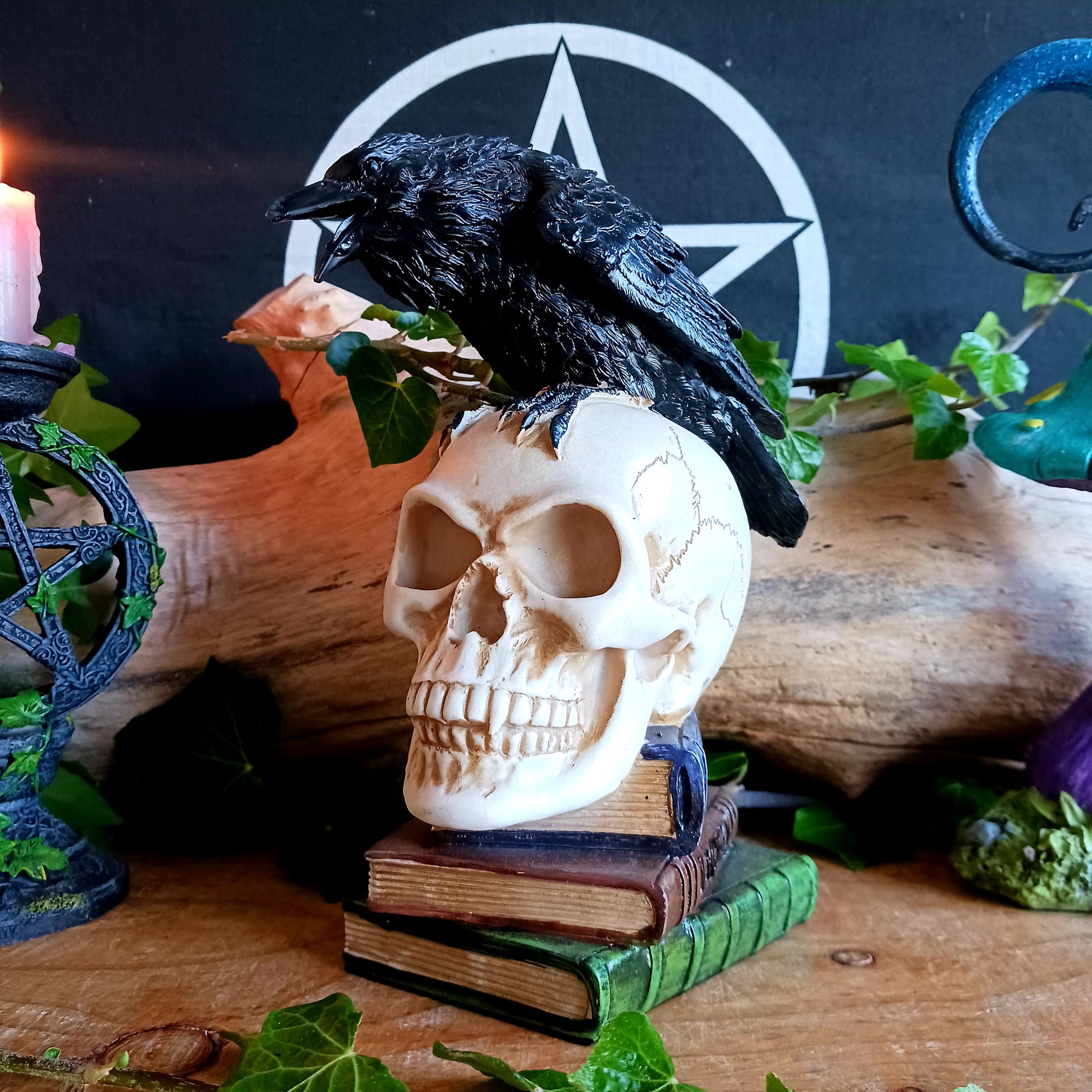 This detailed decorative sculpture from Alchemy England features a hand-painted cast resin human skull resting atop a stack of books, crowned by a black raven—a powerful symbol of memory, loss, and the supernatural. The raven’s presence echoes Poe’s famous refrain, “Nevermore,” capturing the dark gothic atmosphere that has fascinated readers for generations.
