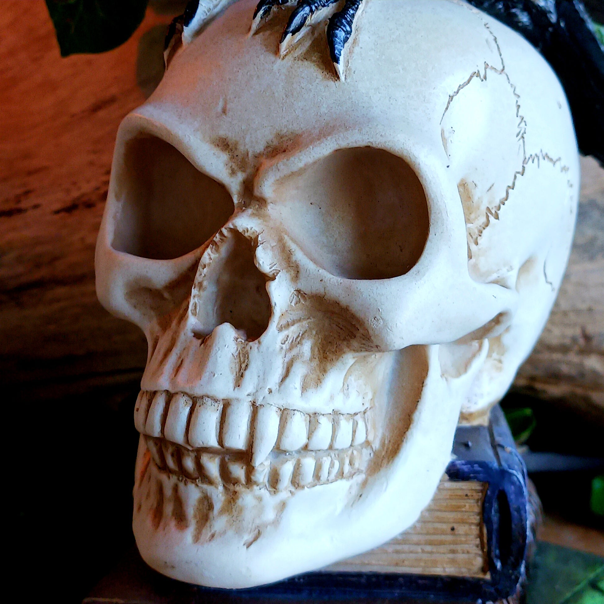 This detailed decorative sculpture from Alchemy England features a hand-painted cast resin human skull resting atop a stack of books, crowned by a black raven—a powerful symbol of memory, loss, and the supernatural. The raven’s presence echoes Poe’s famous refrain, “Nevermore,” capturing the dark gothic atmosphere that has fascinated readers for generations.