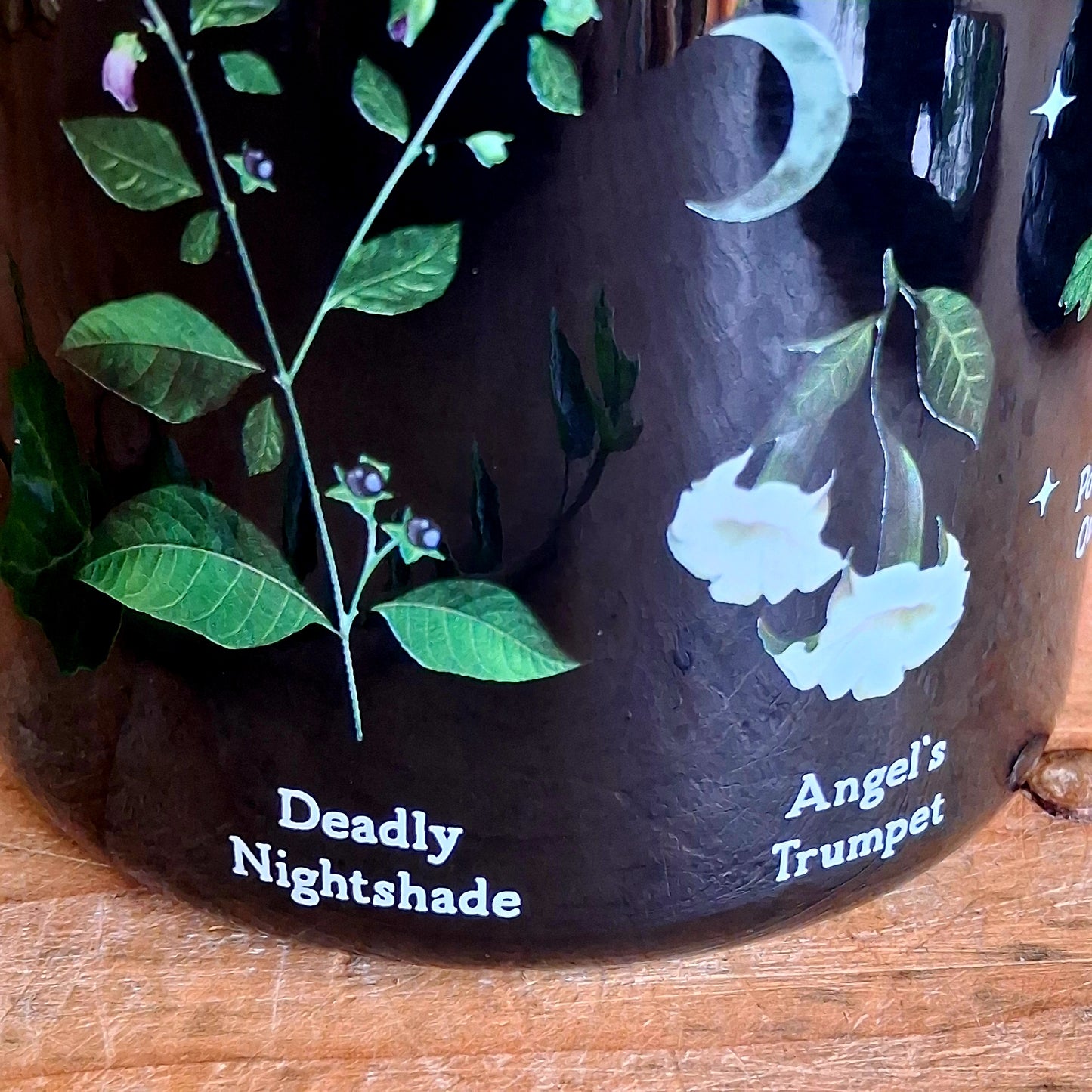 Start your mornings with a touch of gothic elegance. This black enamel-style mug is adorned with intricate illustrations of notorious poisonous plants, including poison ivy, hemlock, deadly nightshade, angel’s trumpet, poison oak, mistletoe, and foxglove. Perfect for tea, coffee, or any dark brew of your choice, this mug blends botanical beauty with a mysterious edge.